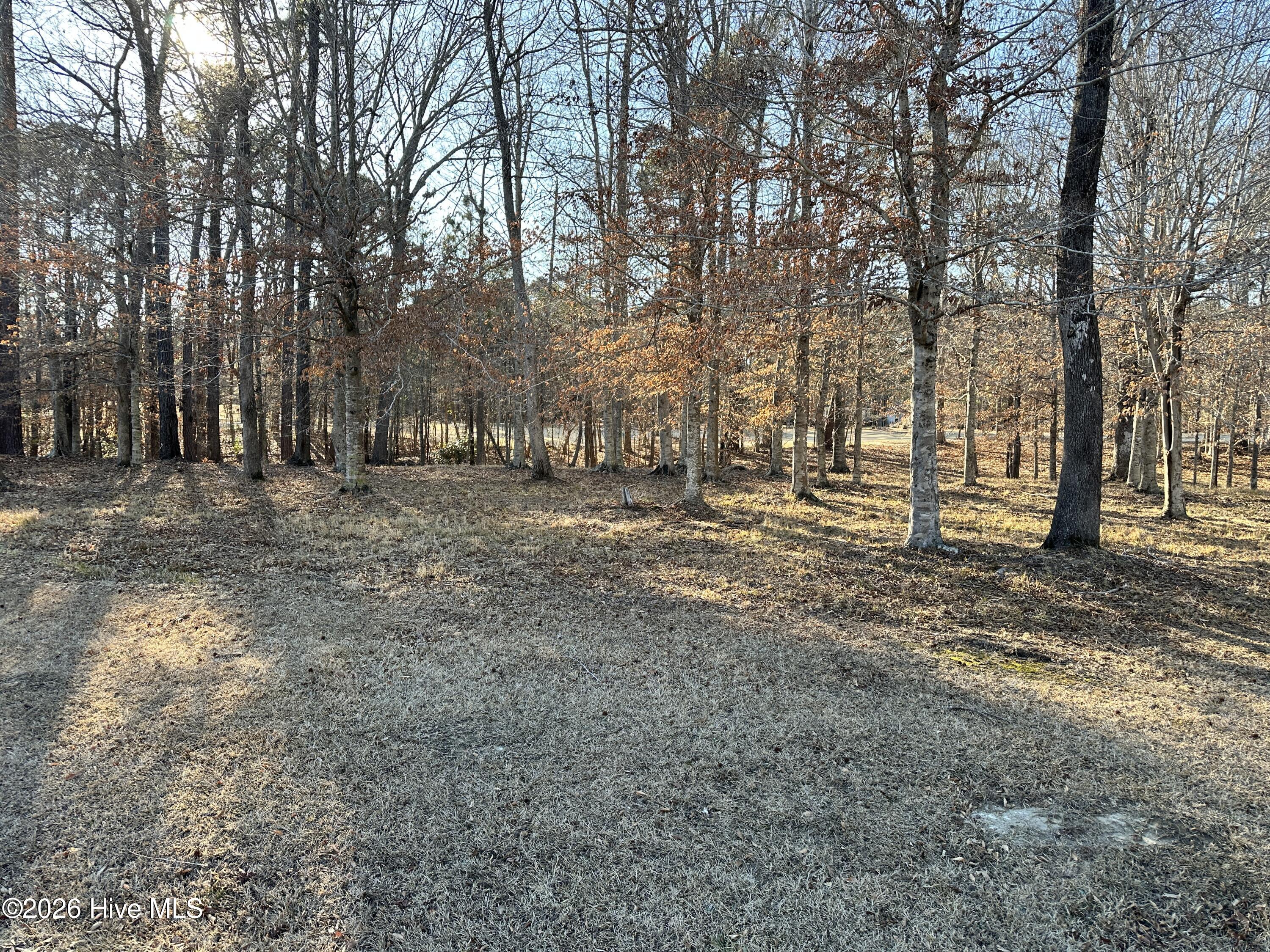 173 Roanoke Drive, Hertford, NC, 27944