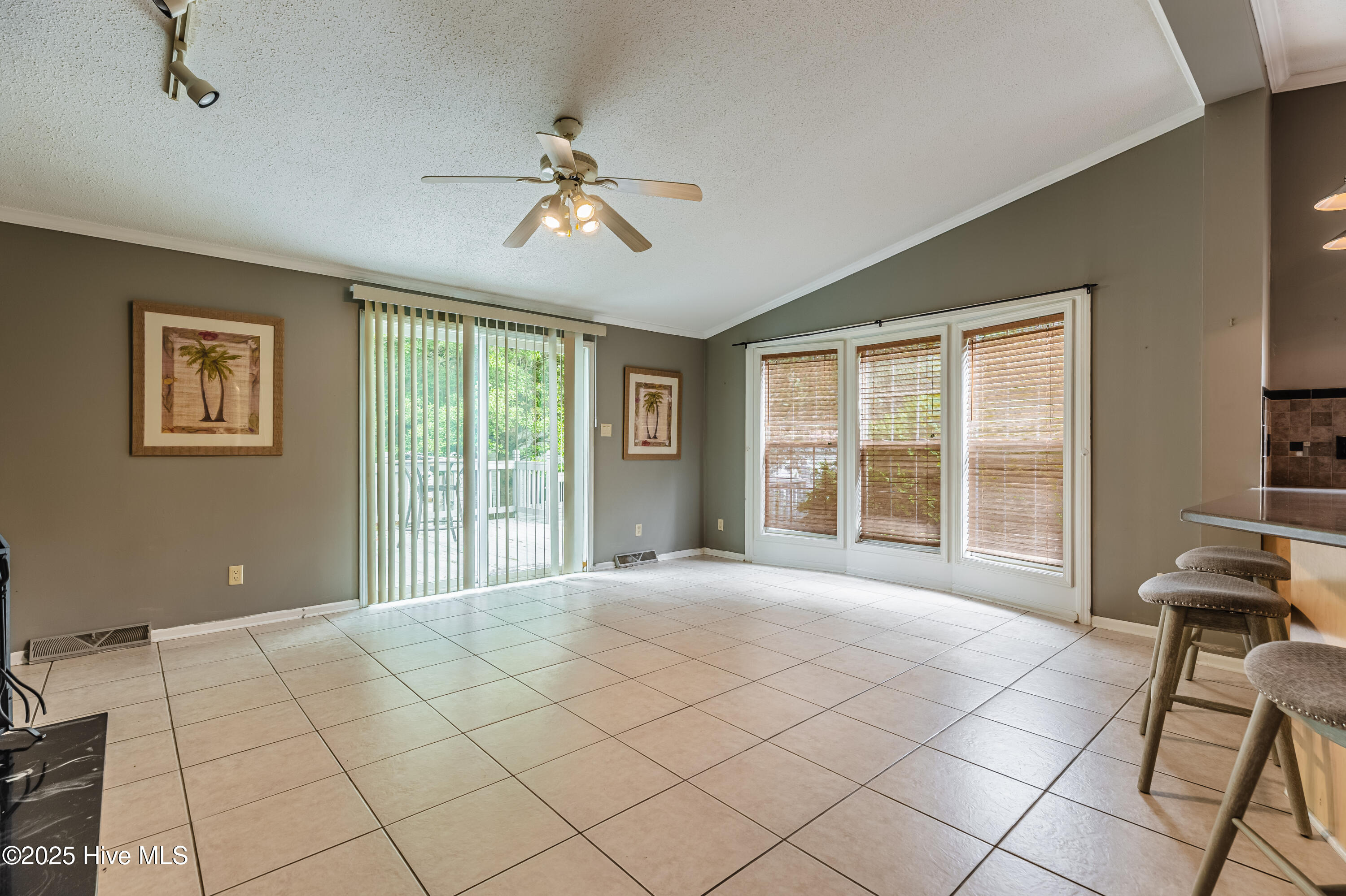 100524257 | Photo 11