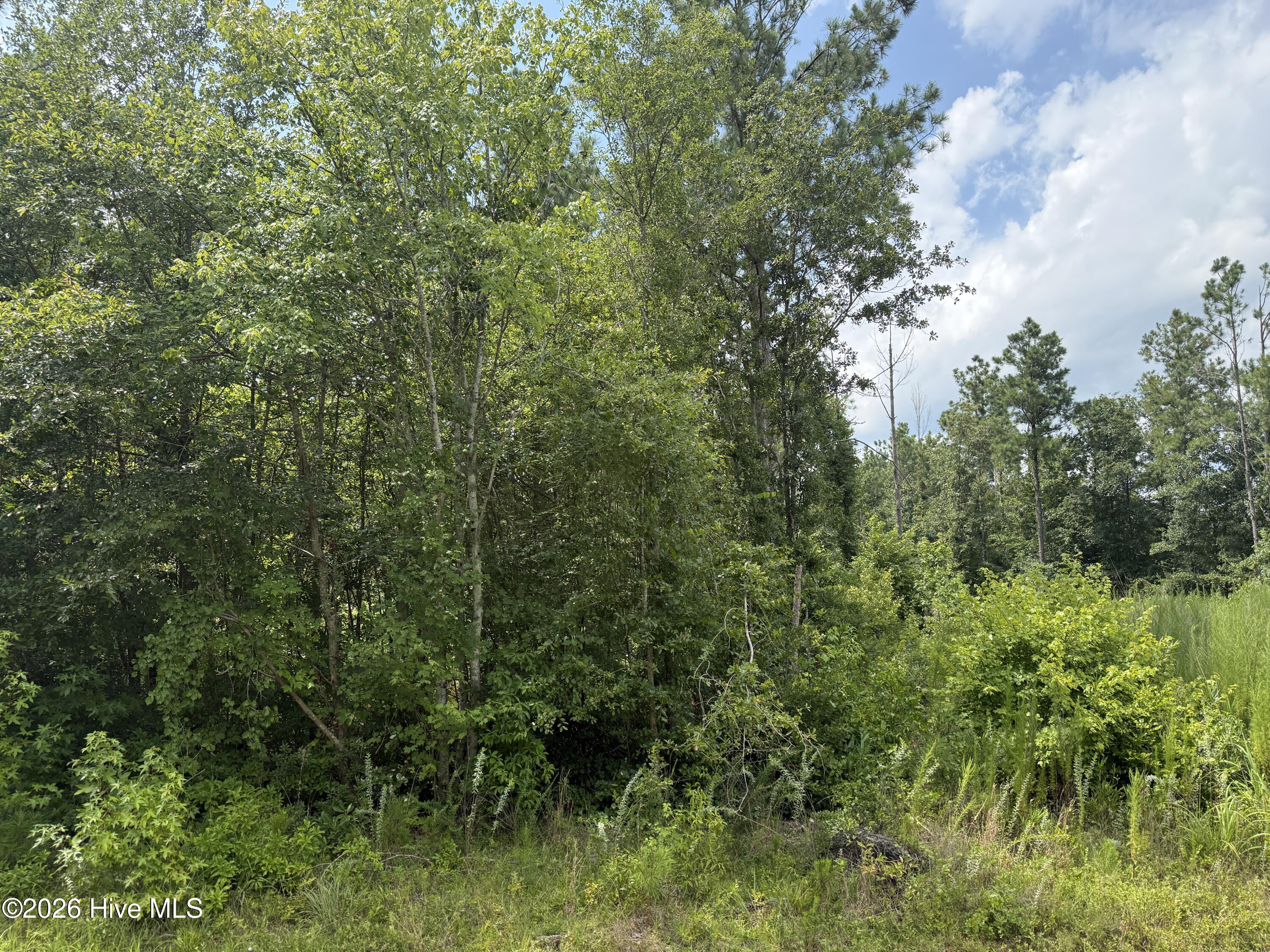Exterior photo of 0 Stilley Town Road, Edward, NC 27821. MLS: 100595360