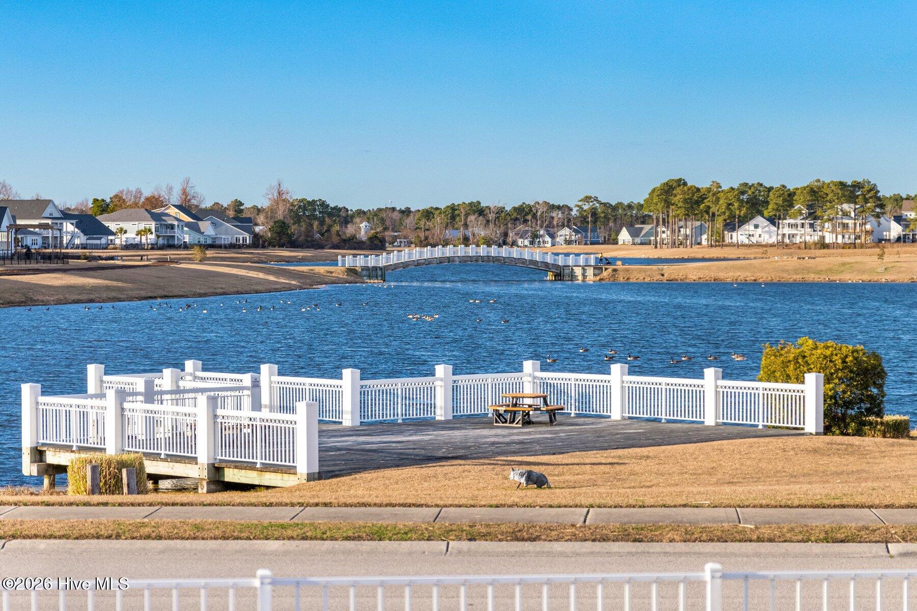 100558879 | Photo 66