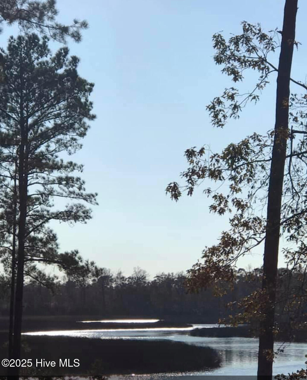 100536848 | Photo 49