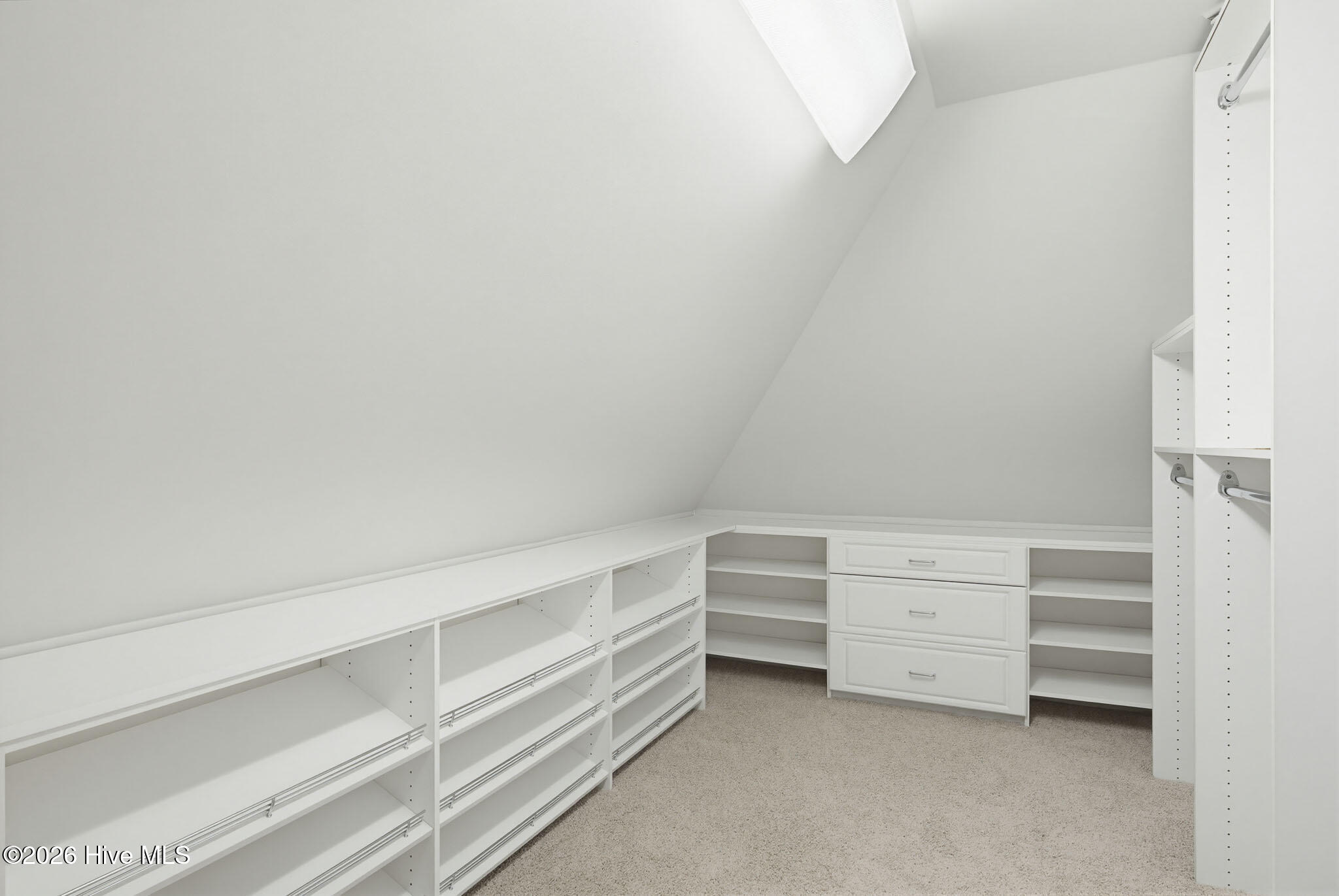 100570266 | Photo 51