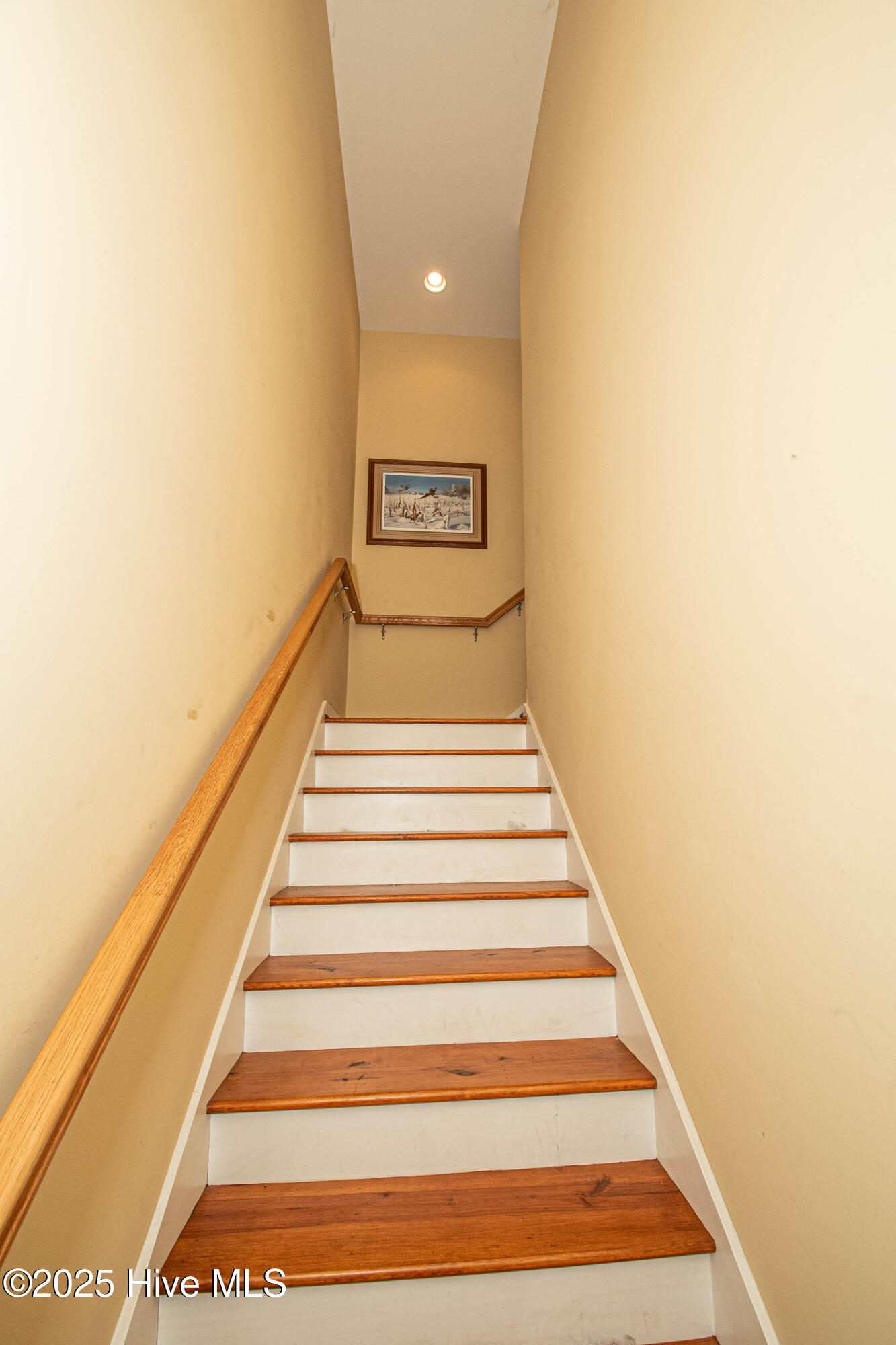 100544337 | Photo 39