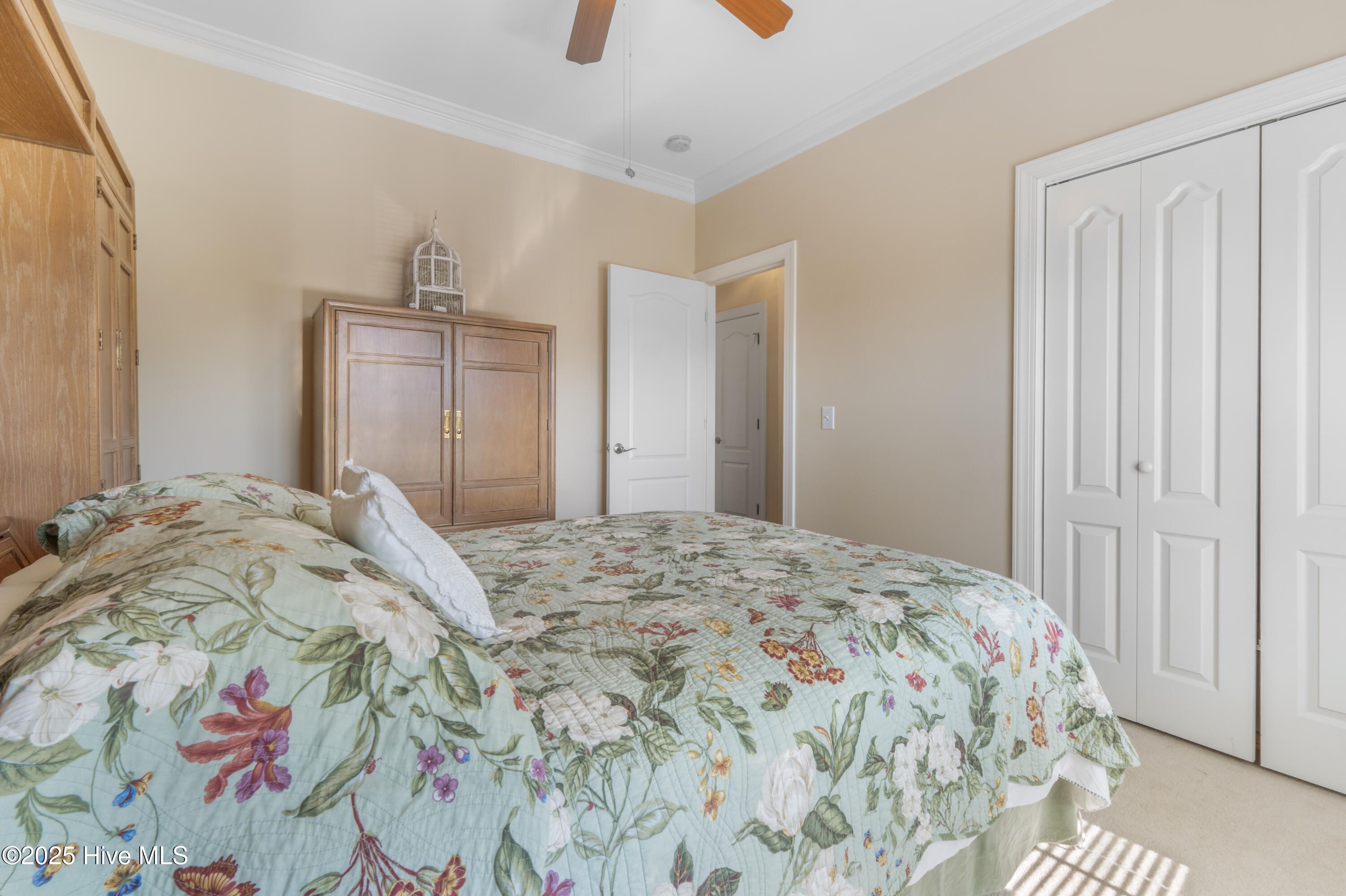 100541484 | Photo 14