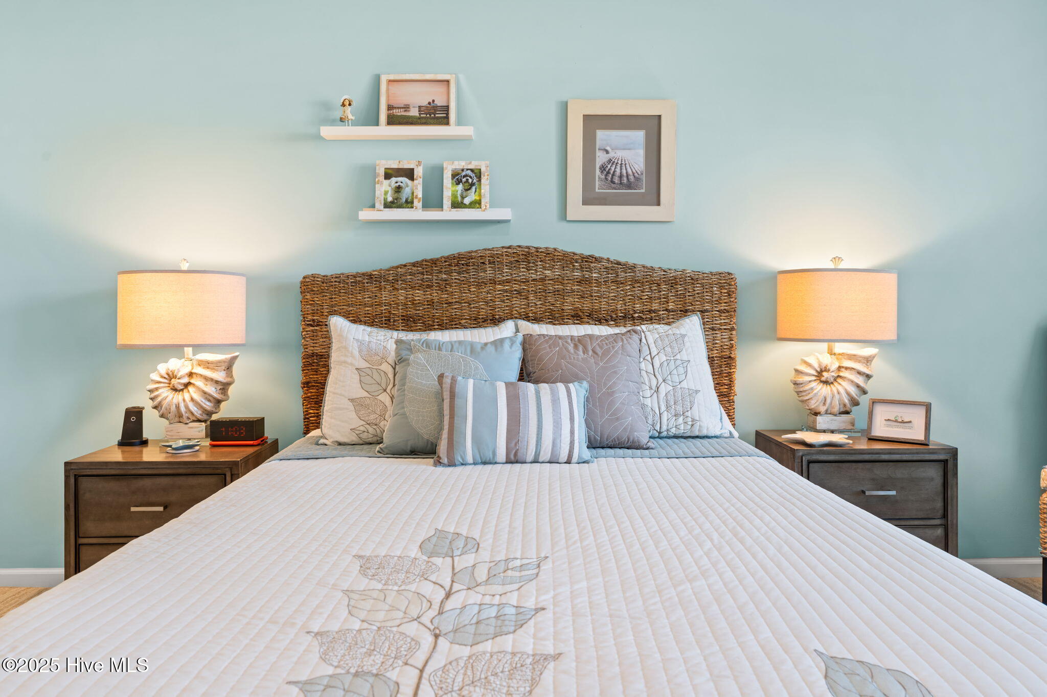 100538371 | Photo 22