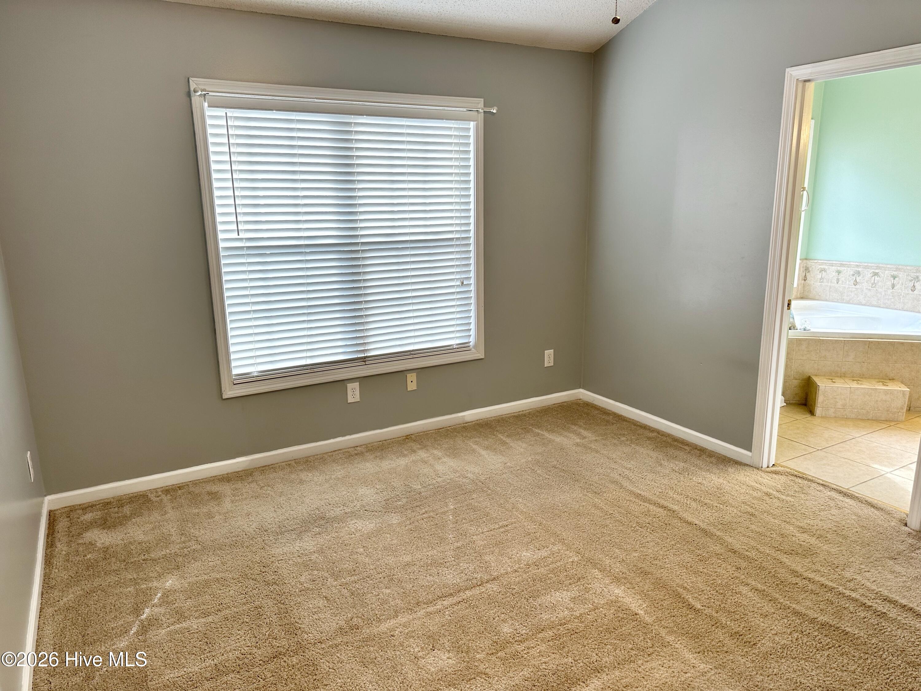 100551305 | Photo 18