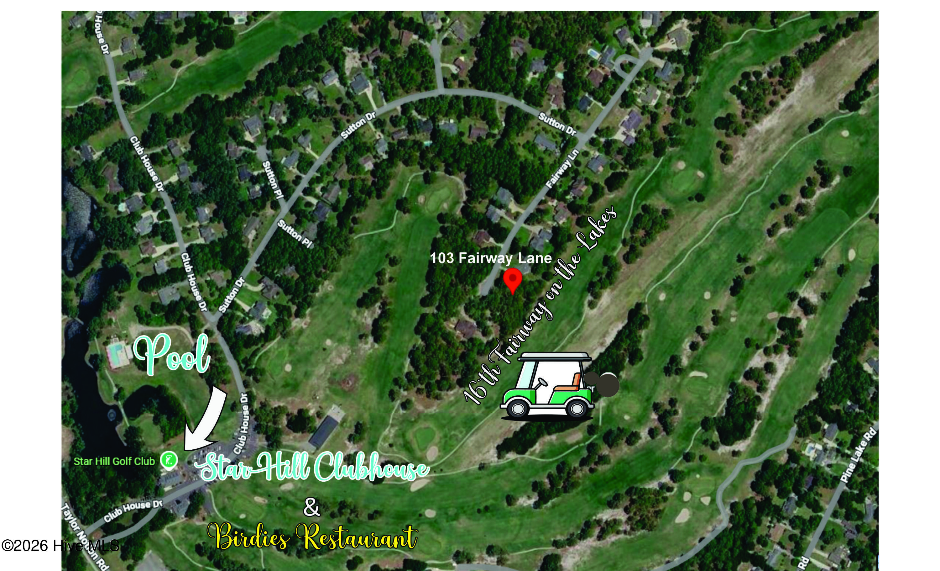 100568393 | Photo 15