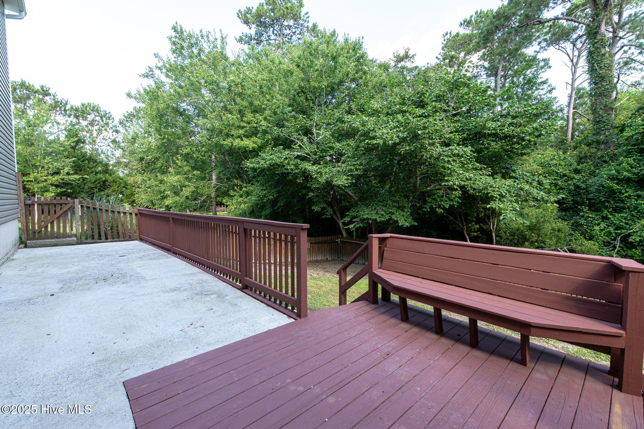 100554866 | Photo 50