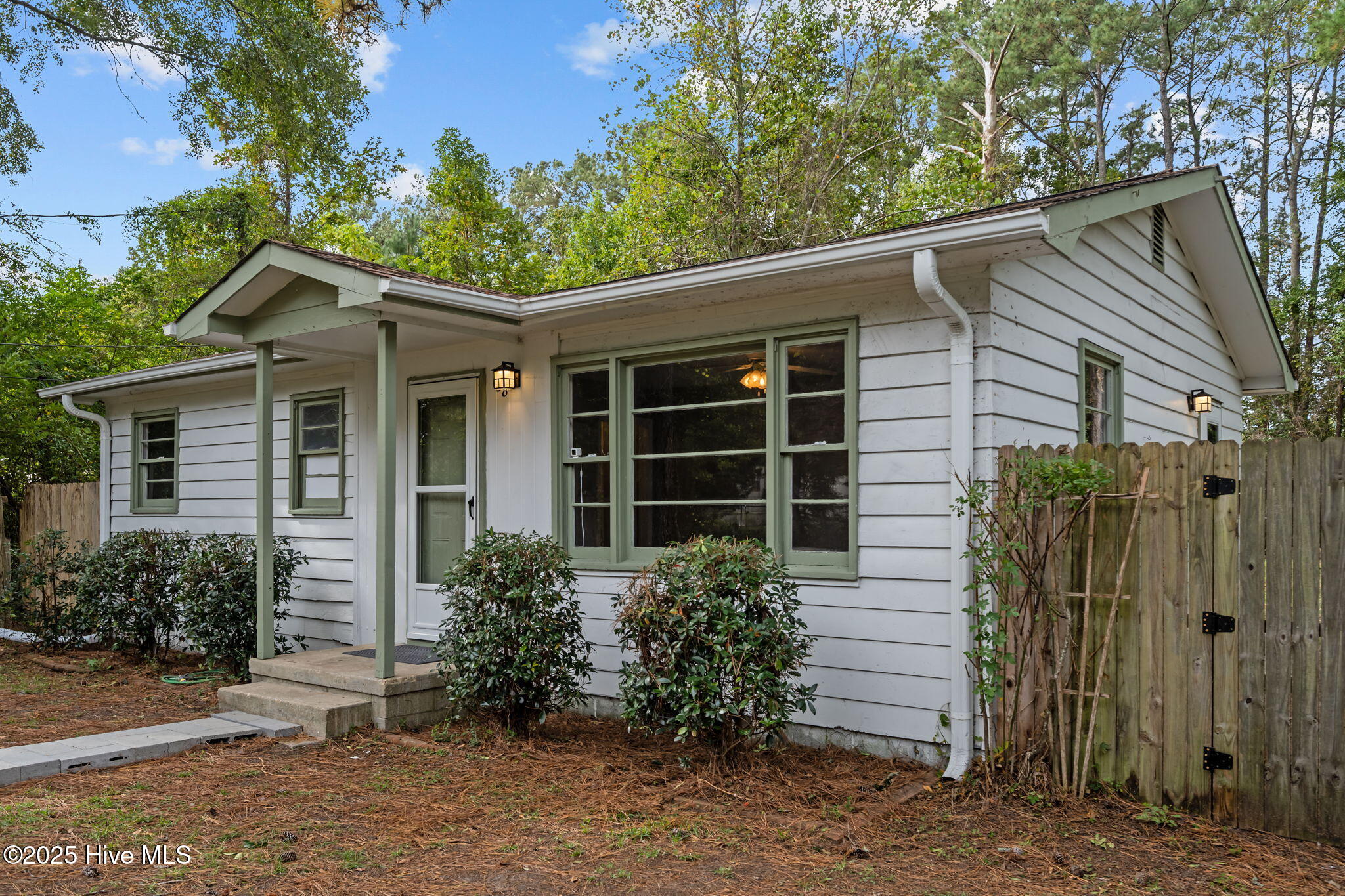 100536002 | Photo 33