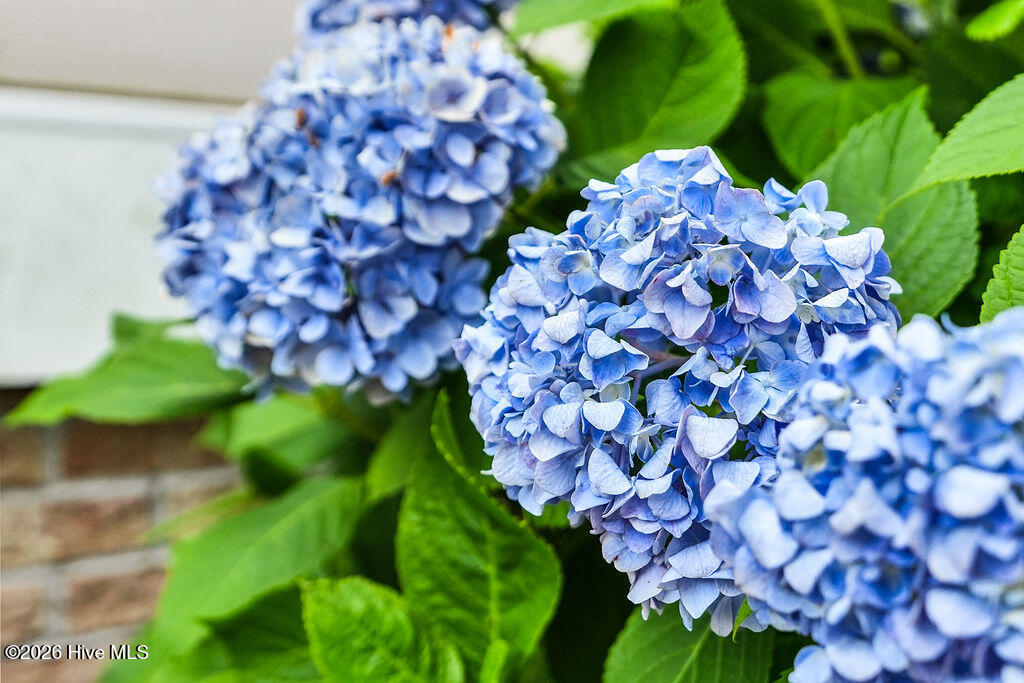100579176 | Photo 44