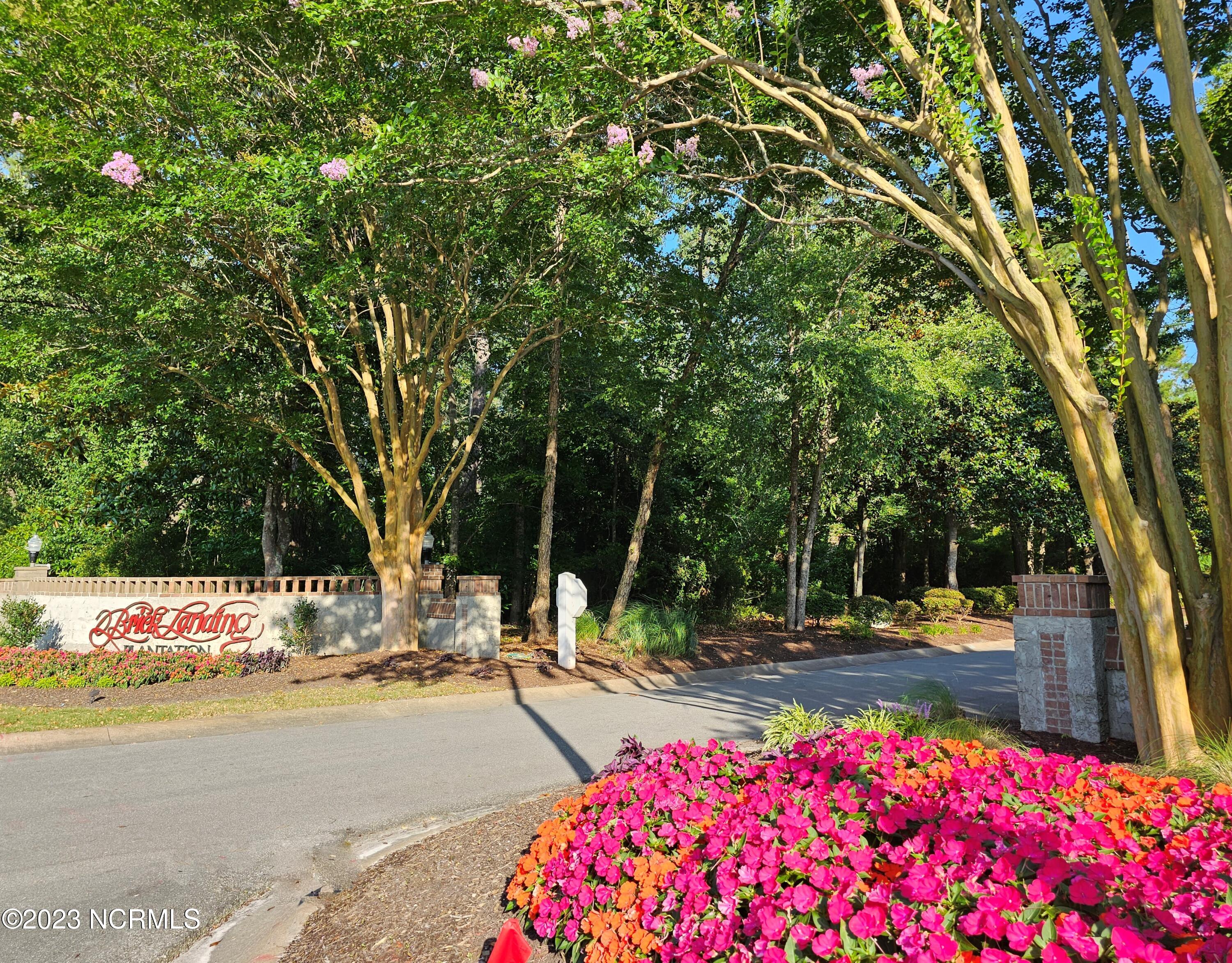 100528794 | Photo 70