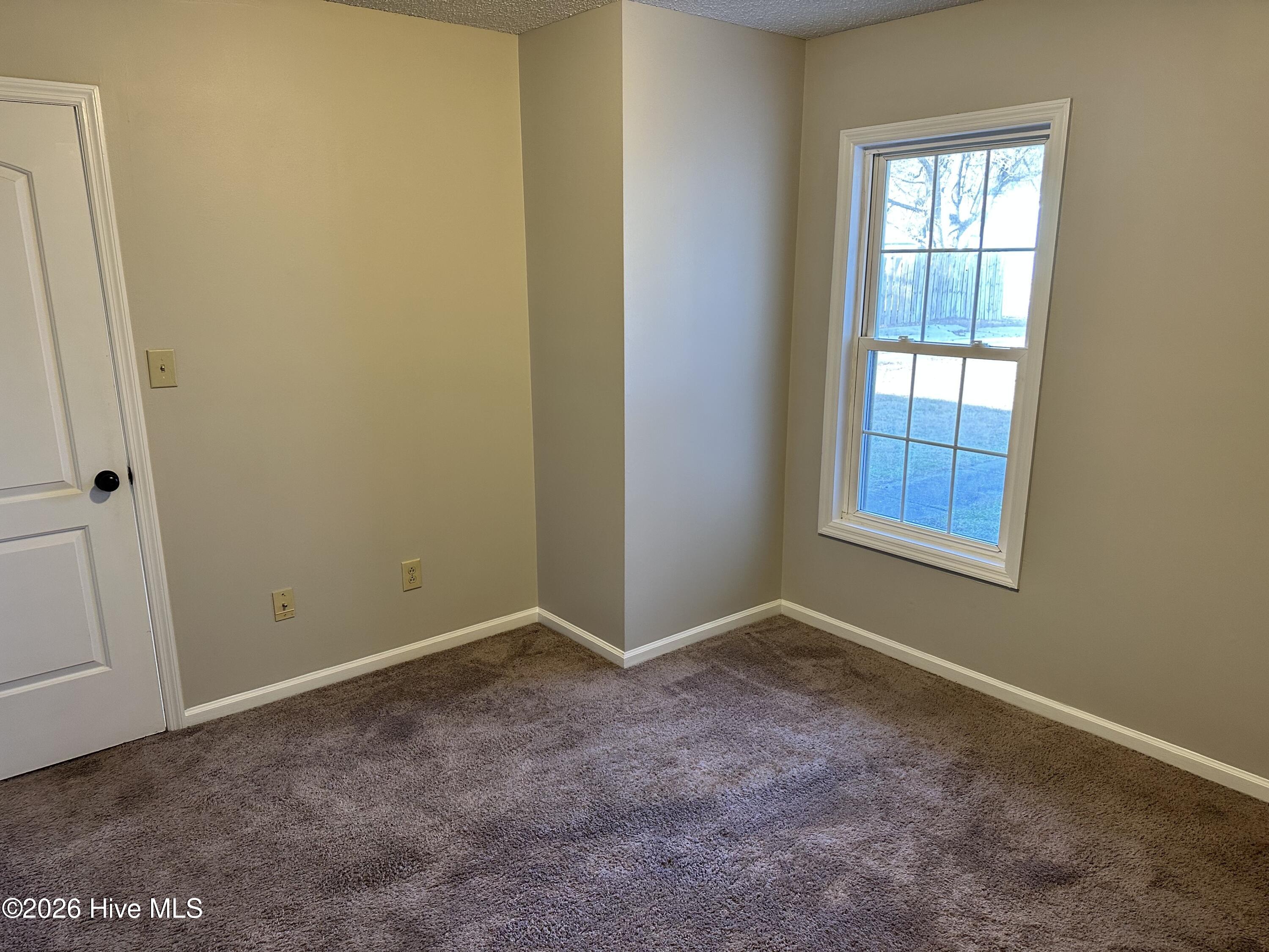 100553426 | Photo 10