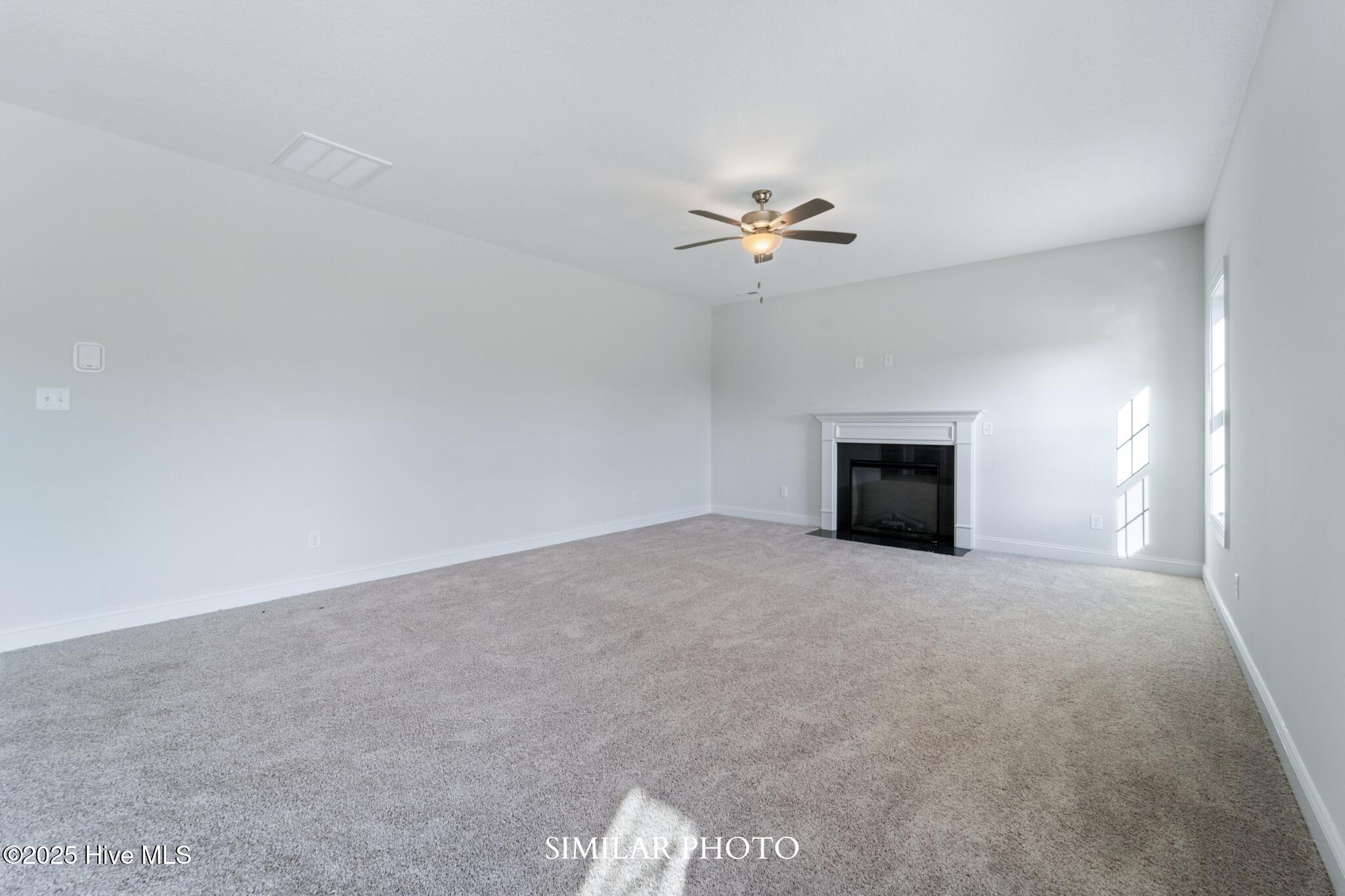 100546136 | Photo 16