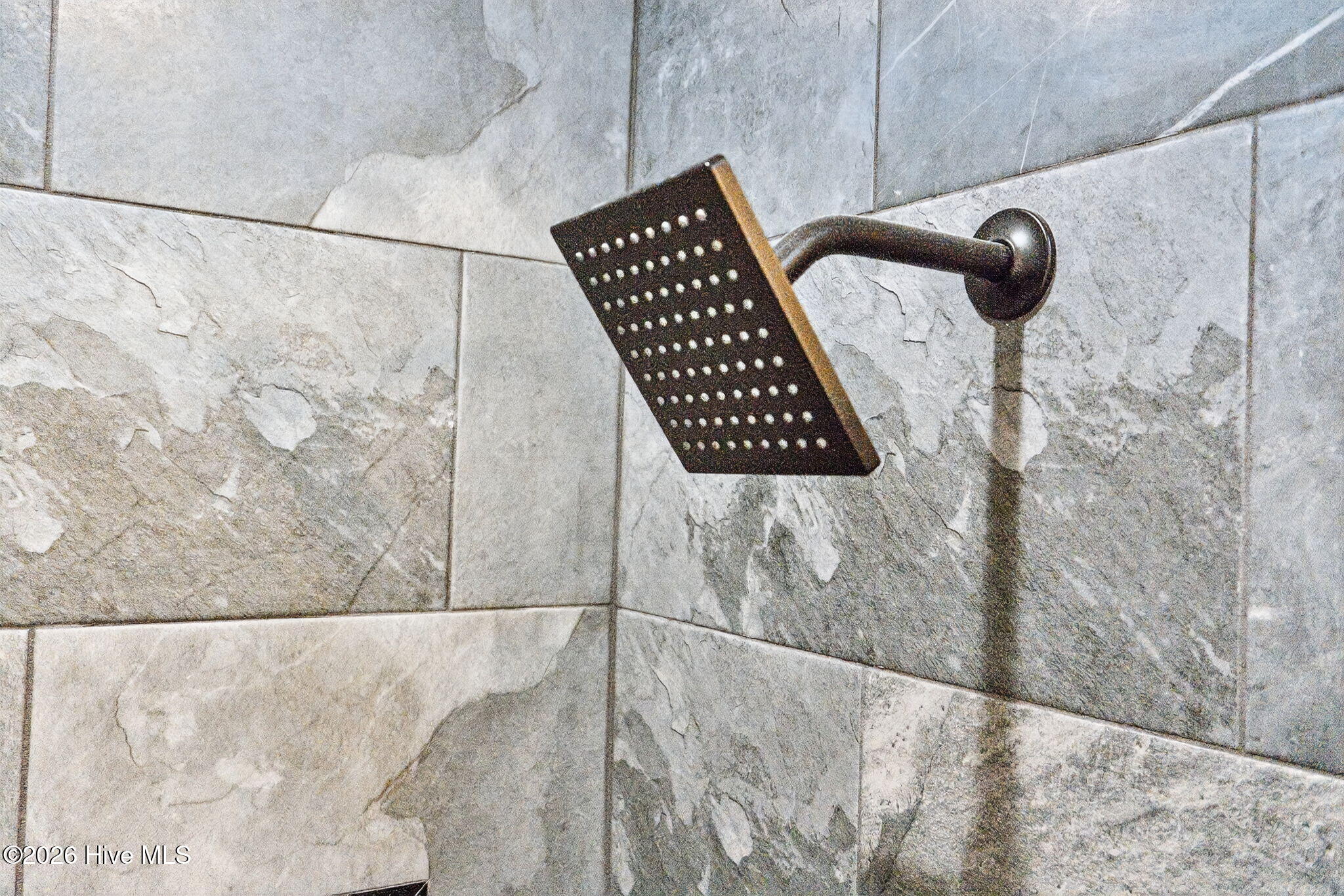 100555045 | Photo 56