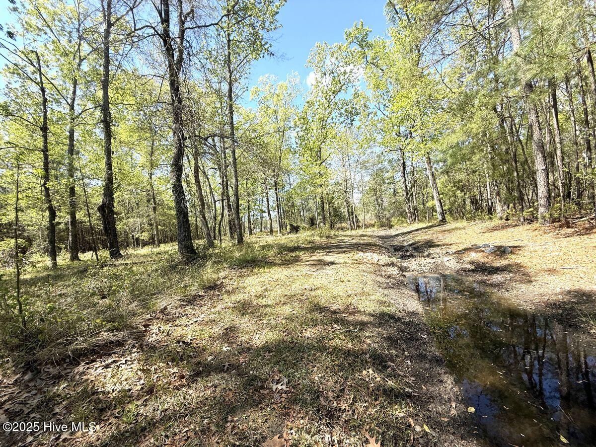 Lot 48 Sunset Point, Belhaven, NC, 27810