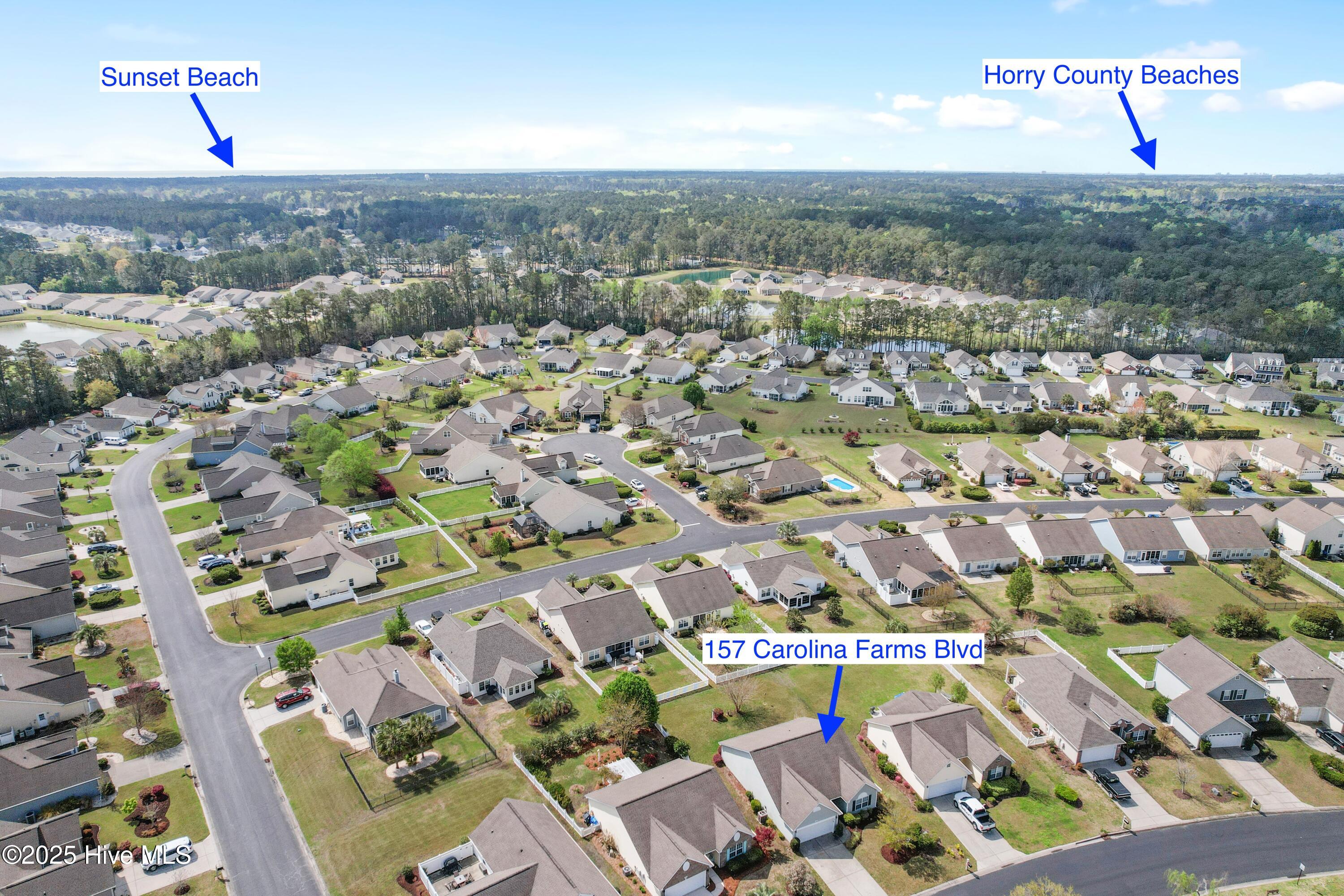 100547243 | Photo 39