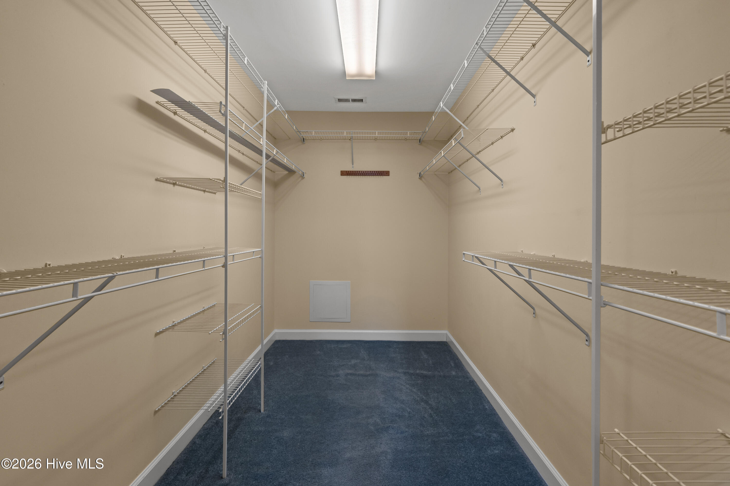 100567546 | Photo 21