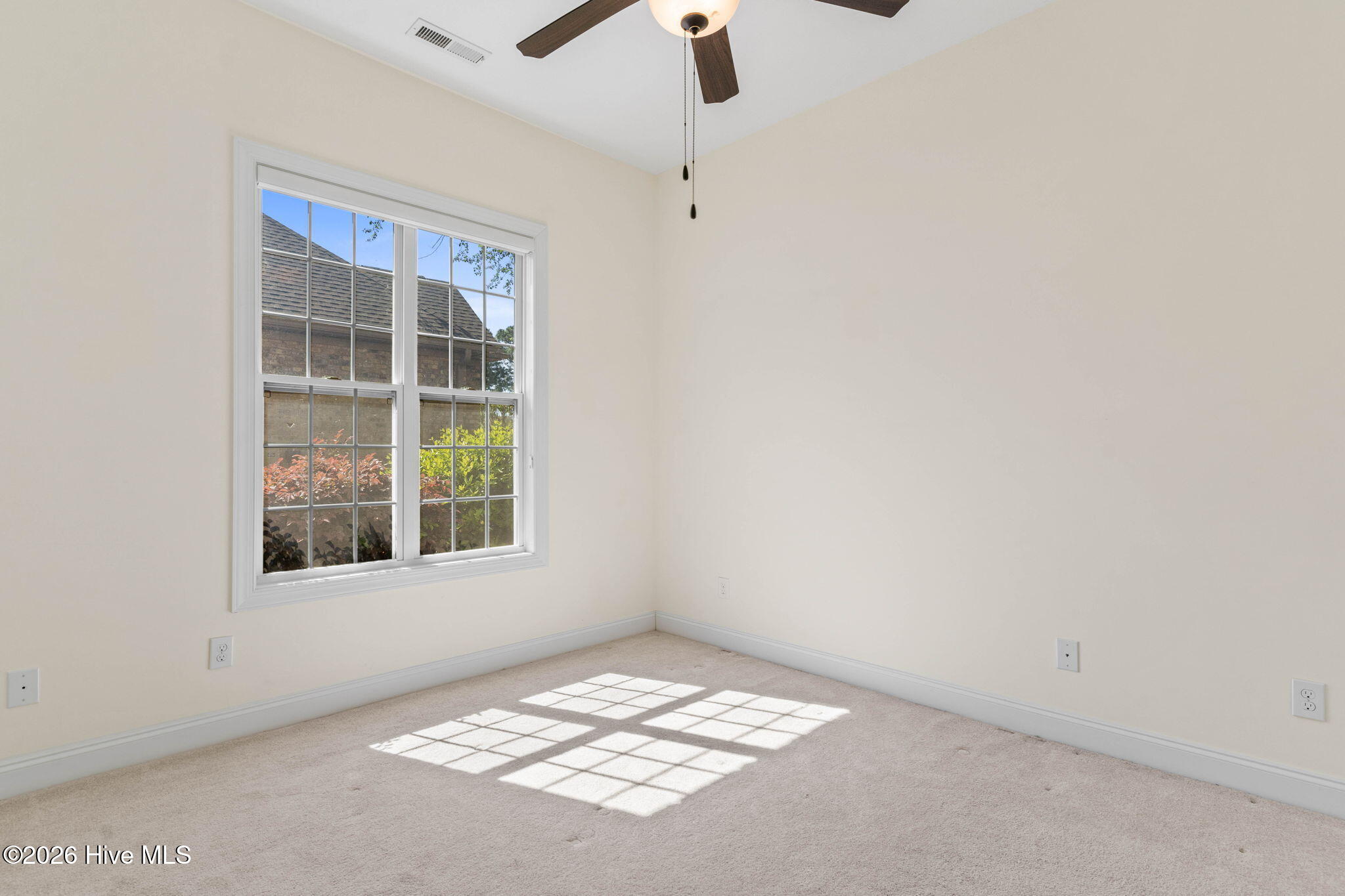 100568005 | Photo 29