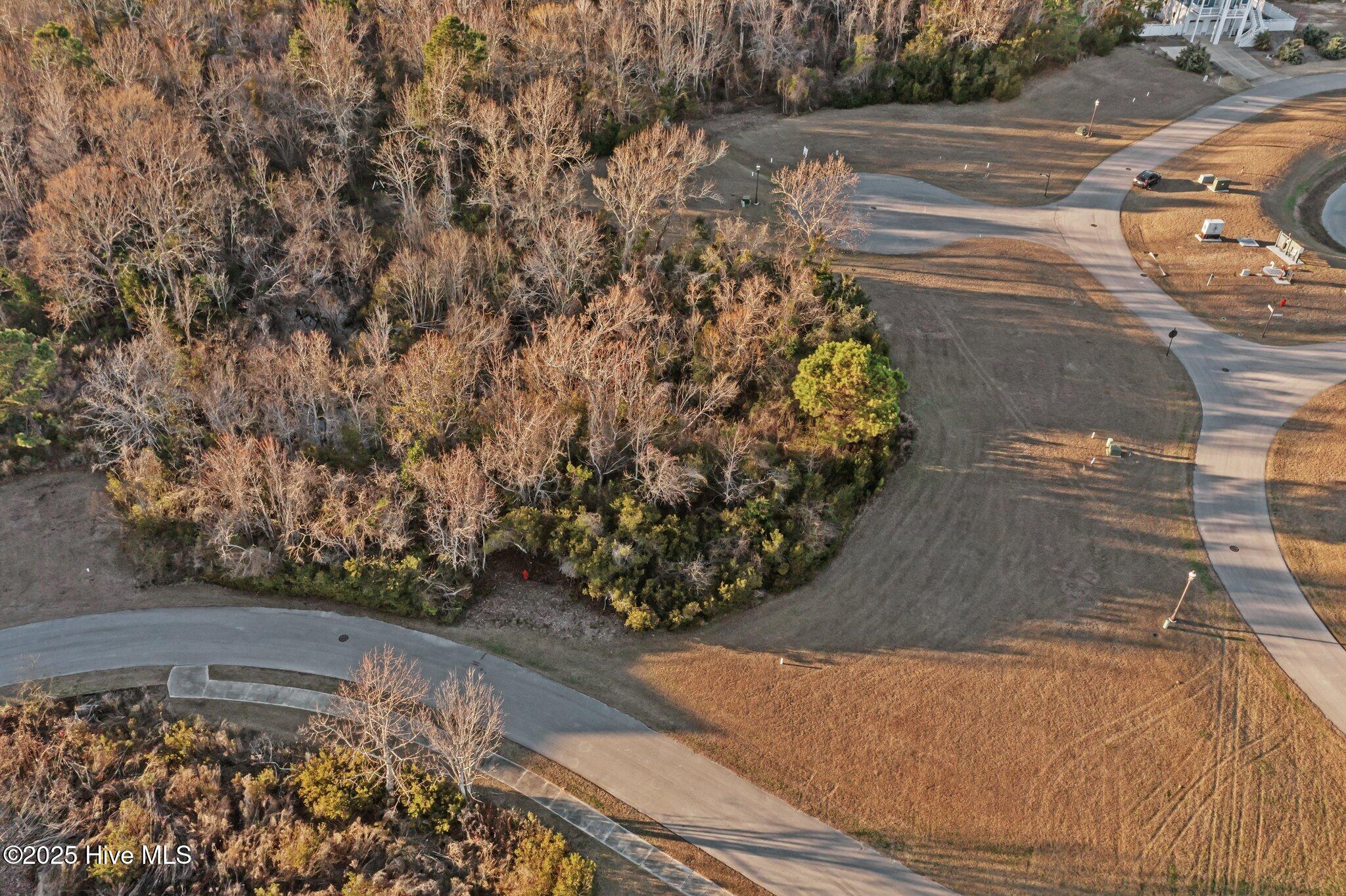 100559624 | Photo 11