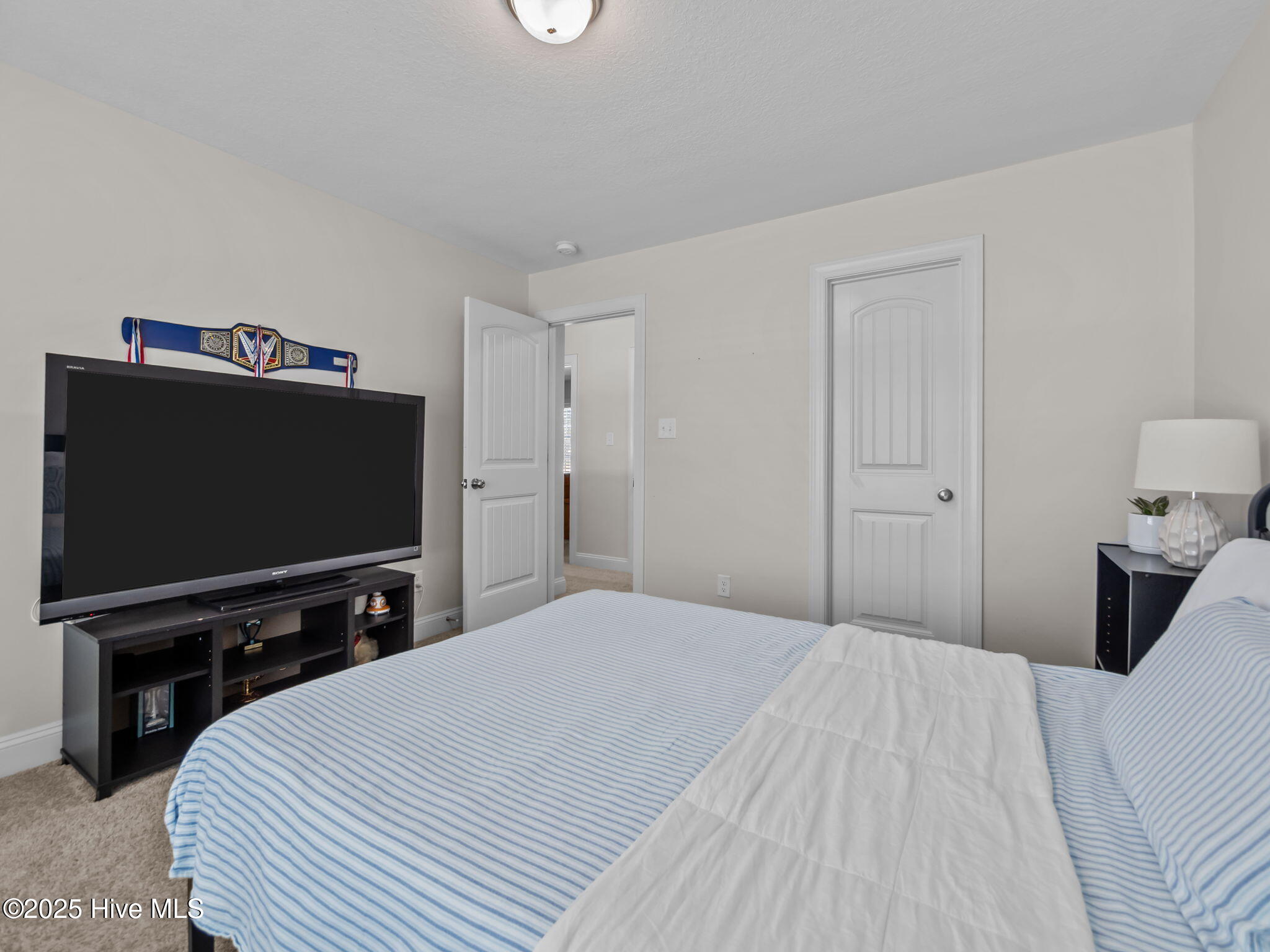 100539073 | Photo 32