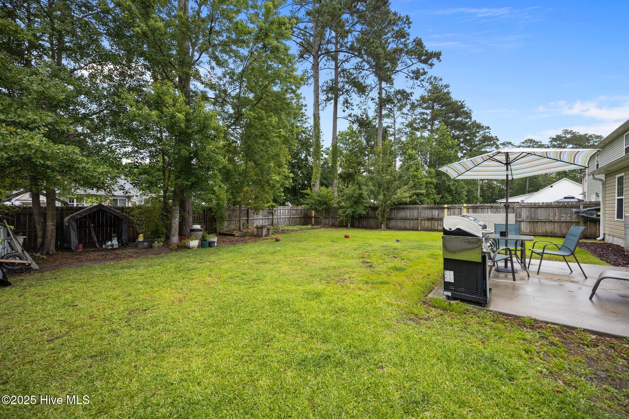 5-web-or-mls-0C0A0845