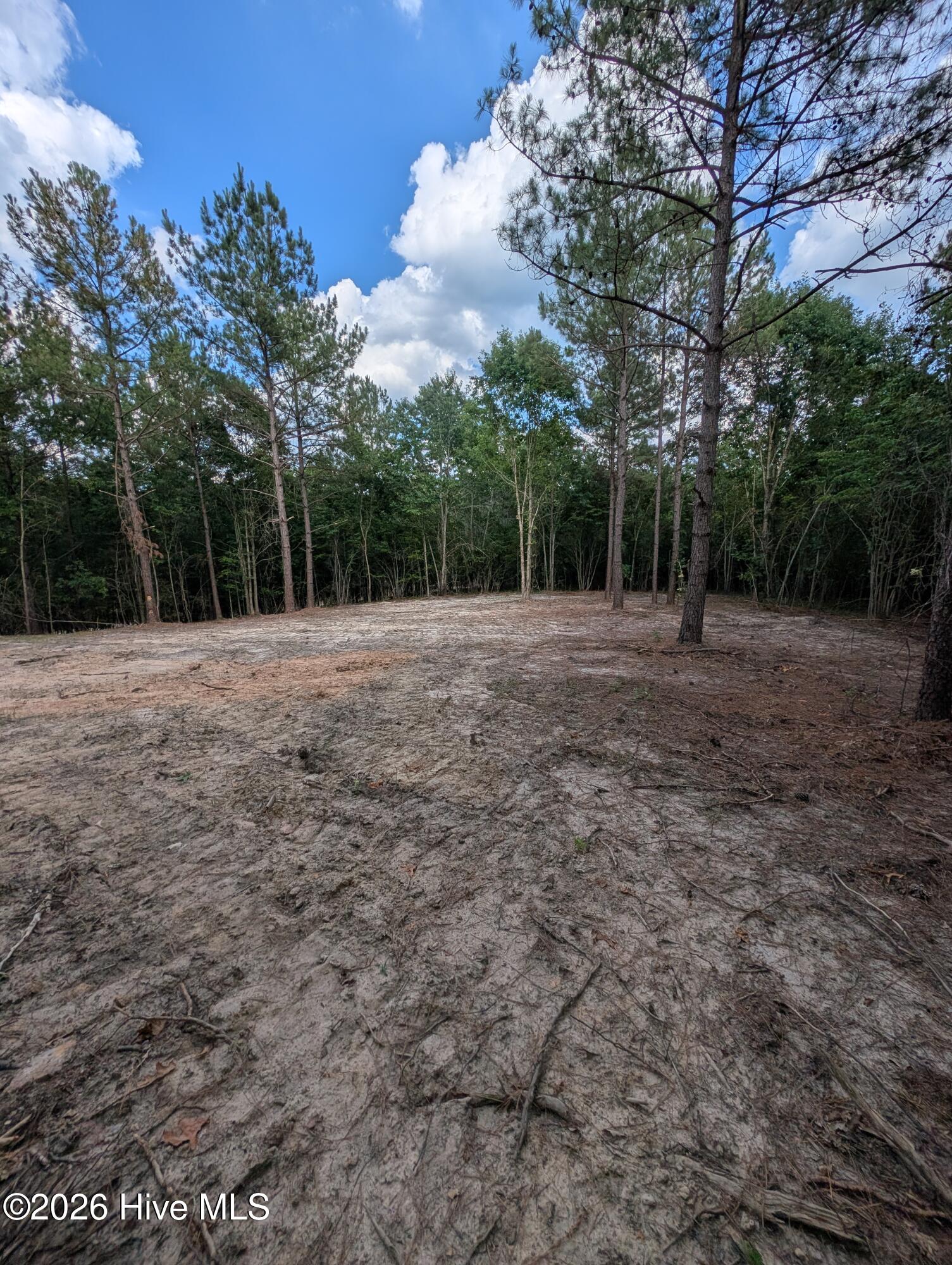 1st image of Tbd Peyton Dr, Eagle Springs, NC 27242 | MLS# 100591264