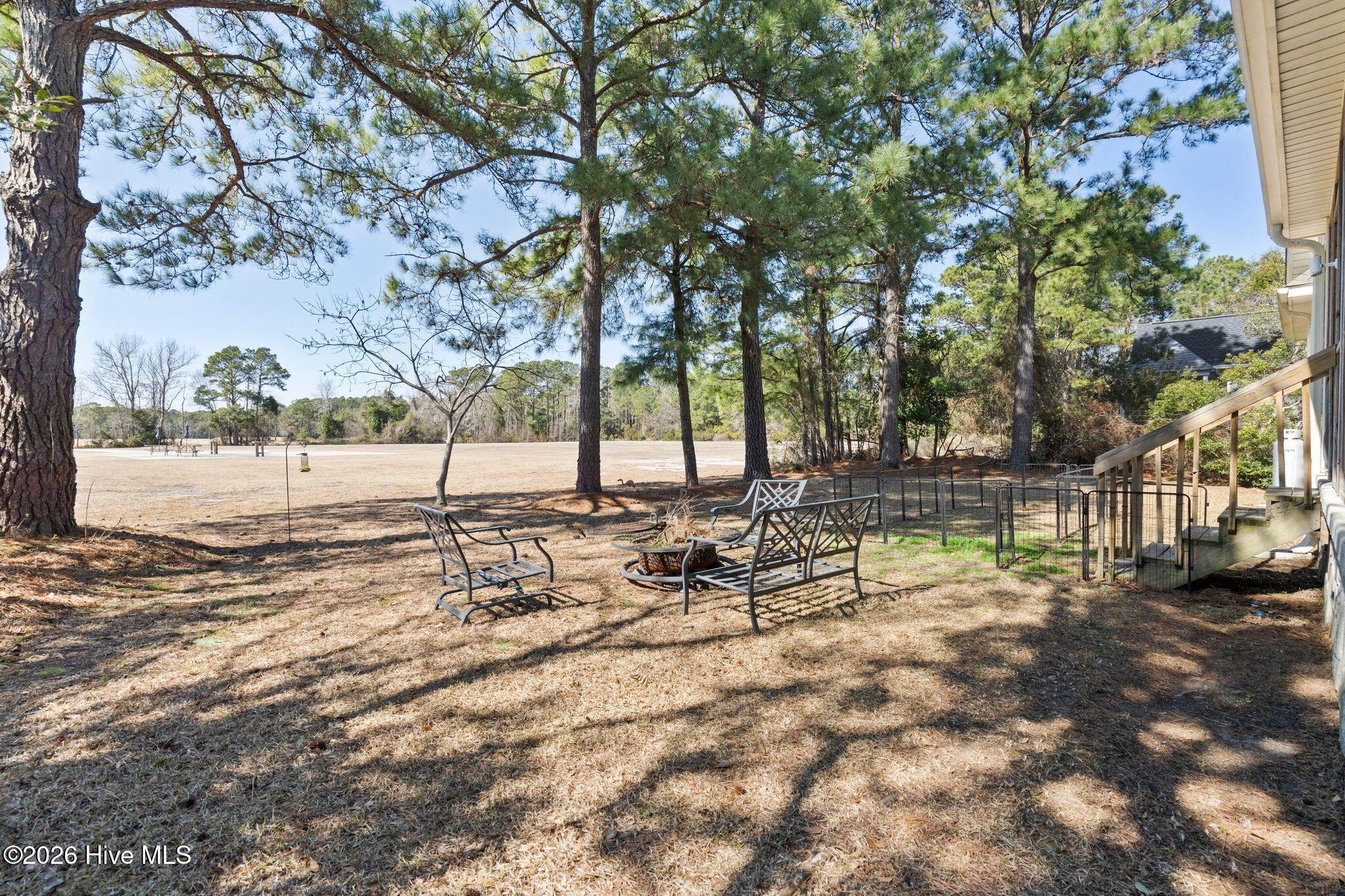 100554284 | Photo 47