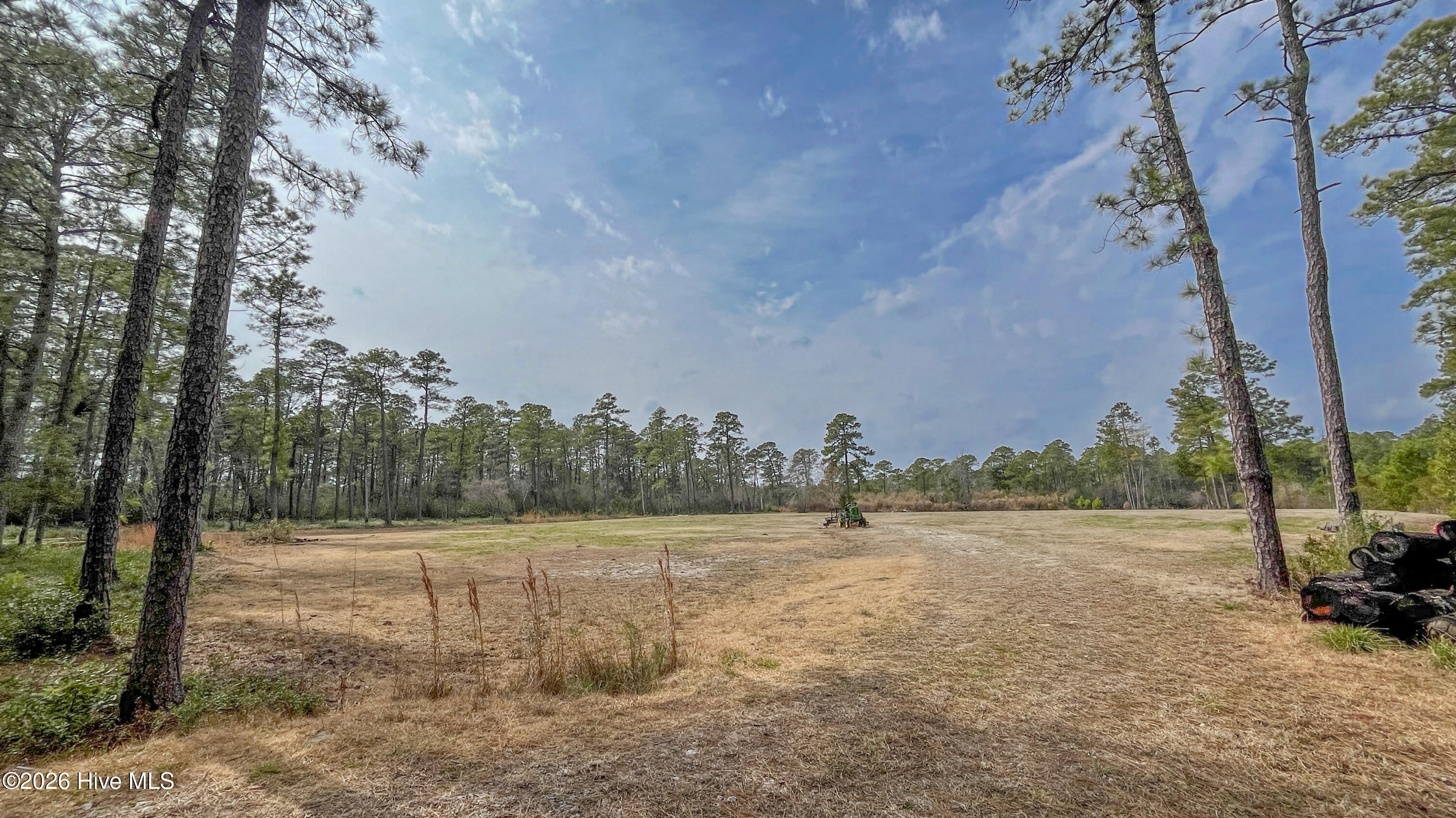 100554657 | Photo 15