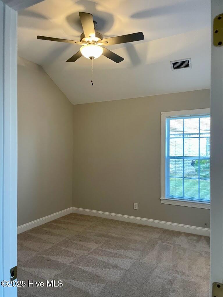 100547248 | Photo 21