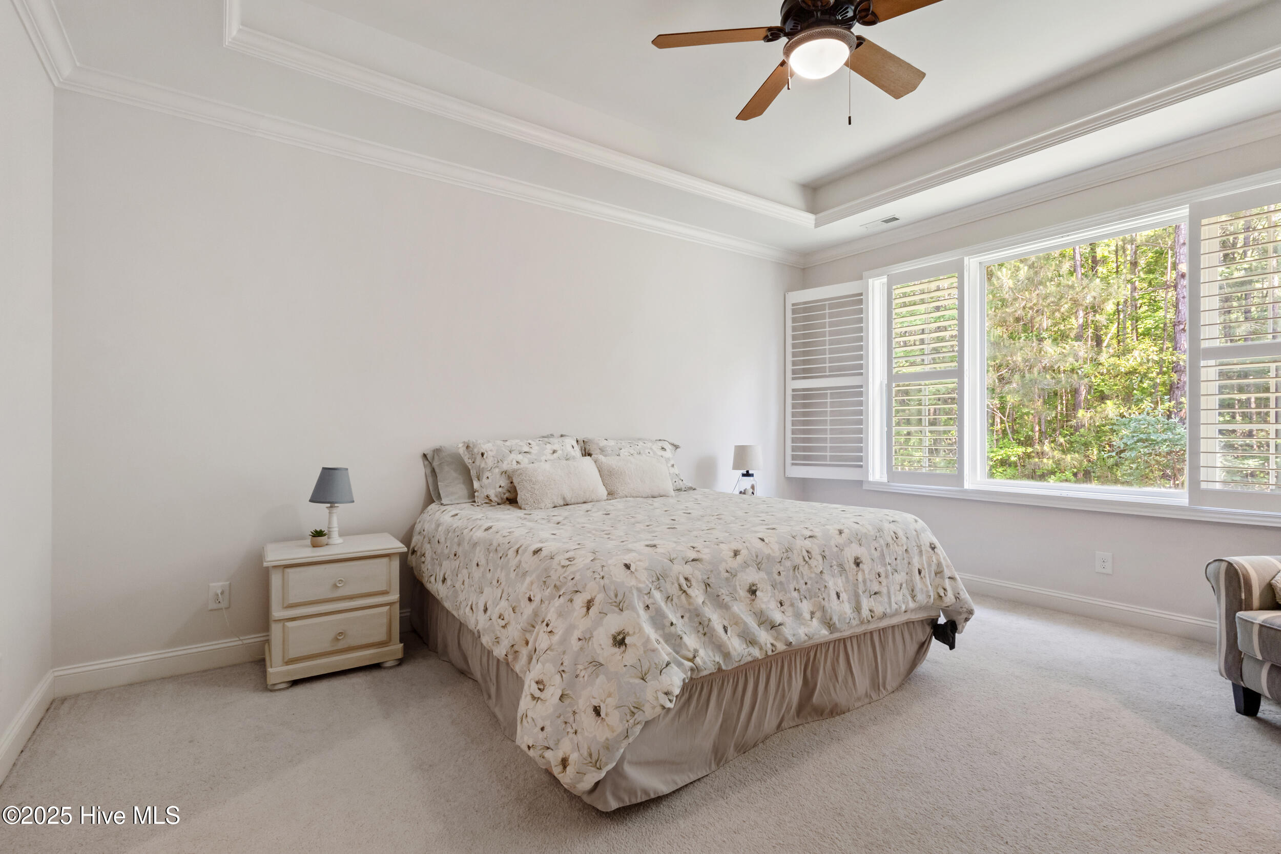 100506544 | Photo 21