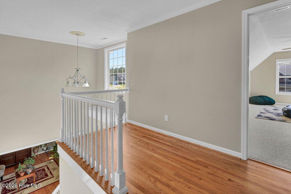 100567145 | Photo 20