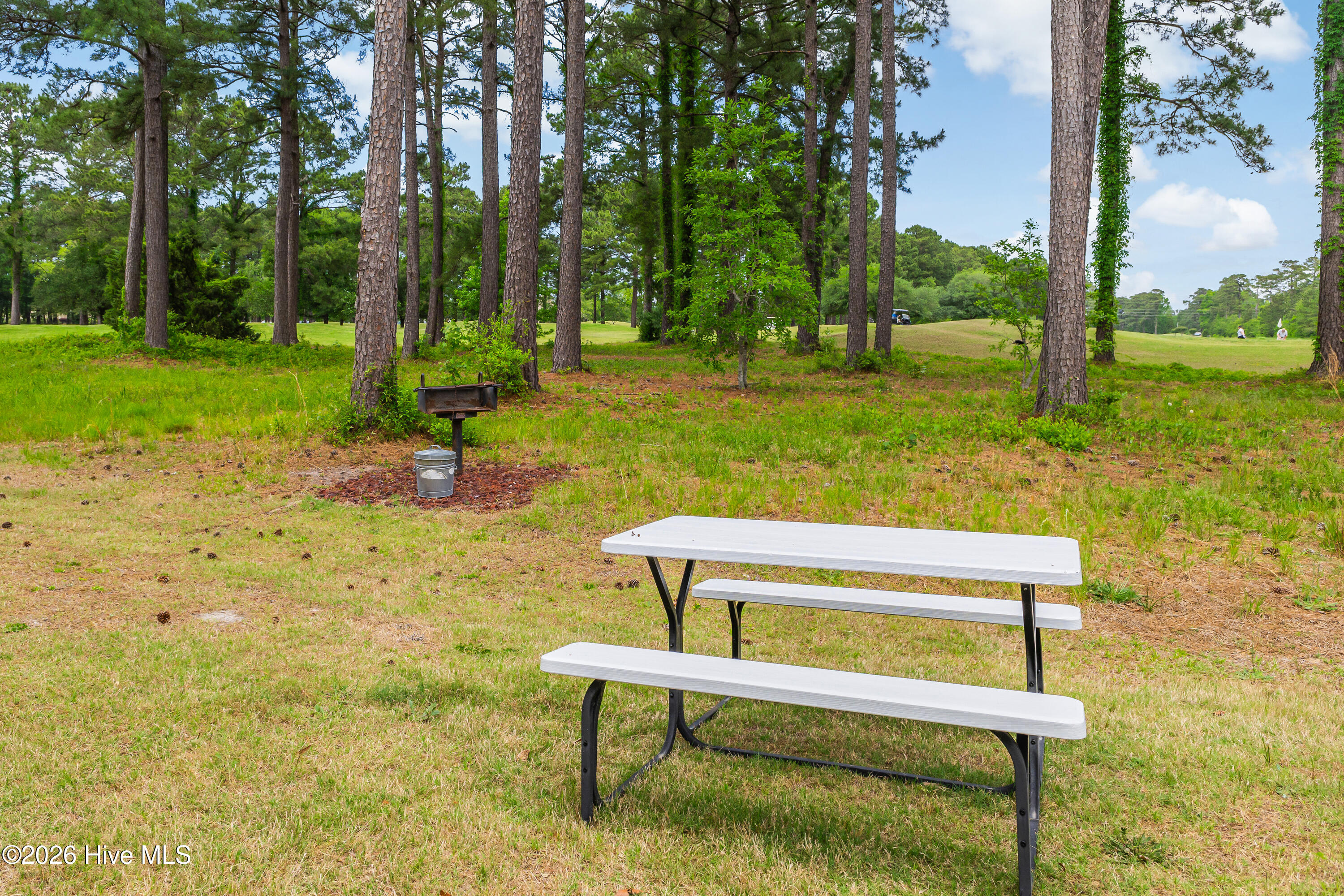 100555725 | Photo 62