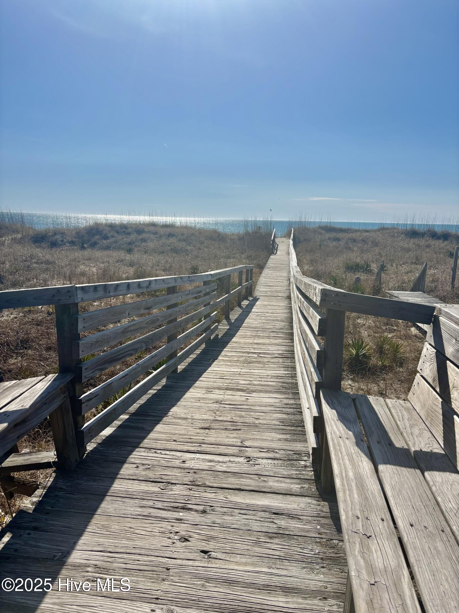 100558310 | Photo 11