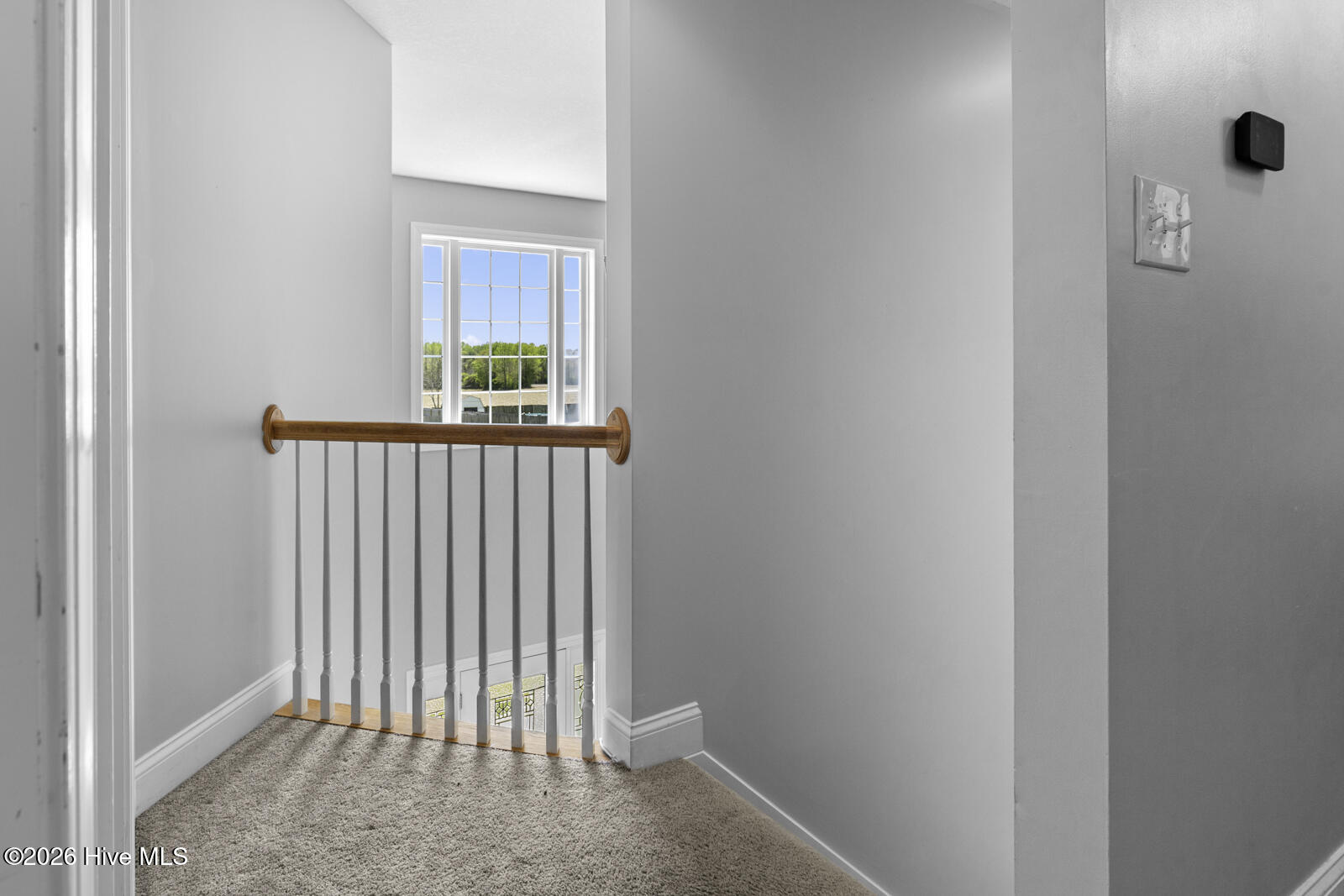 100564788 | Photo 18