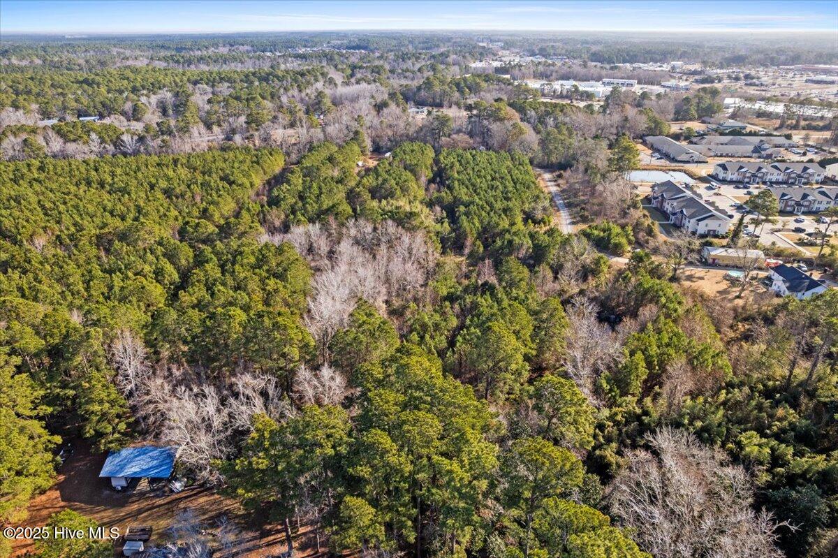 100488410 | Photo 19