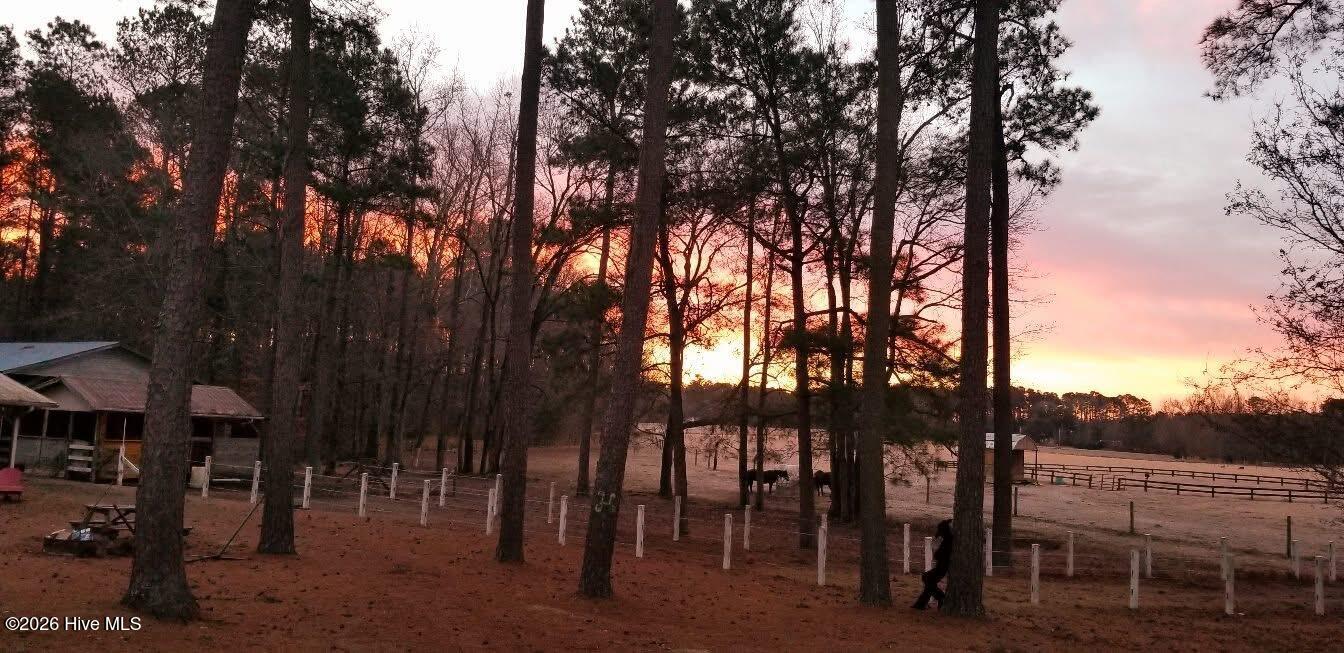 2639 Nc Highway 211, Clarkton, NC, 28433