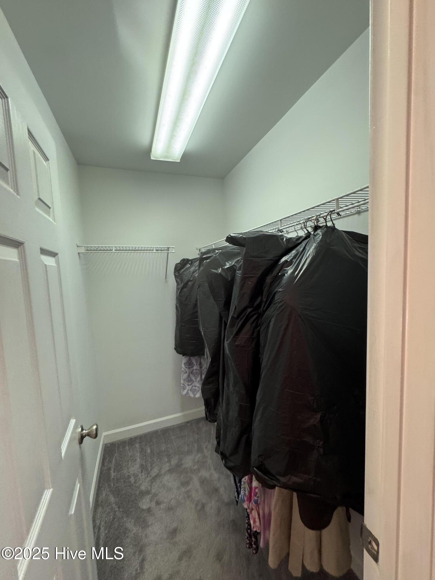 100535506 | Photo 15