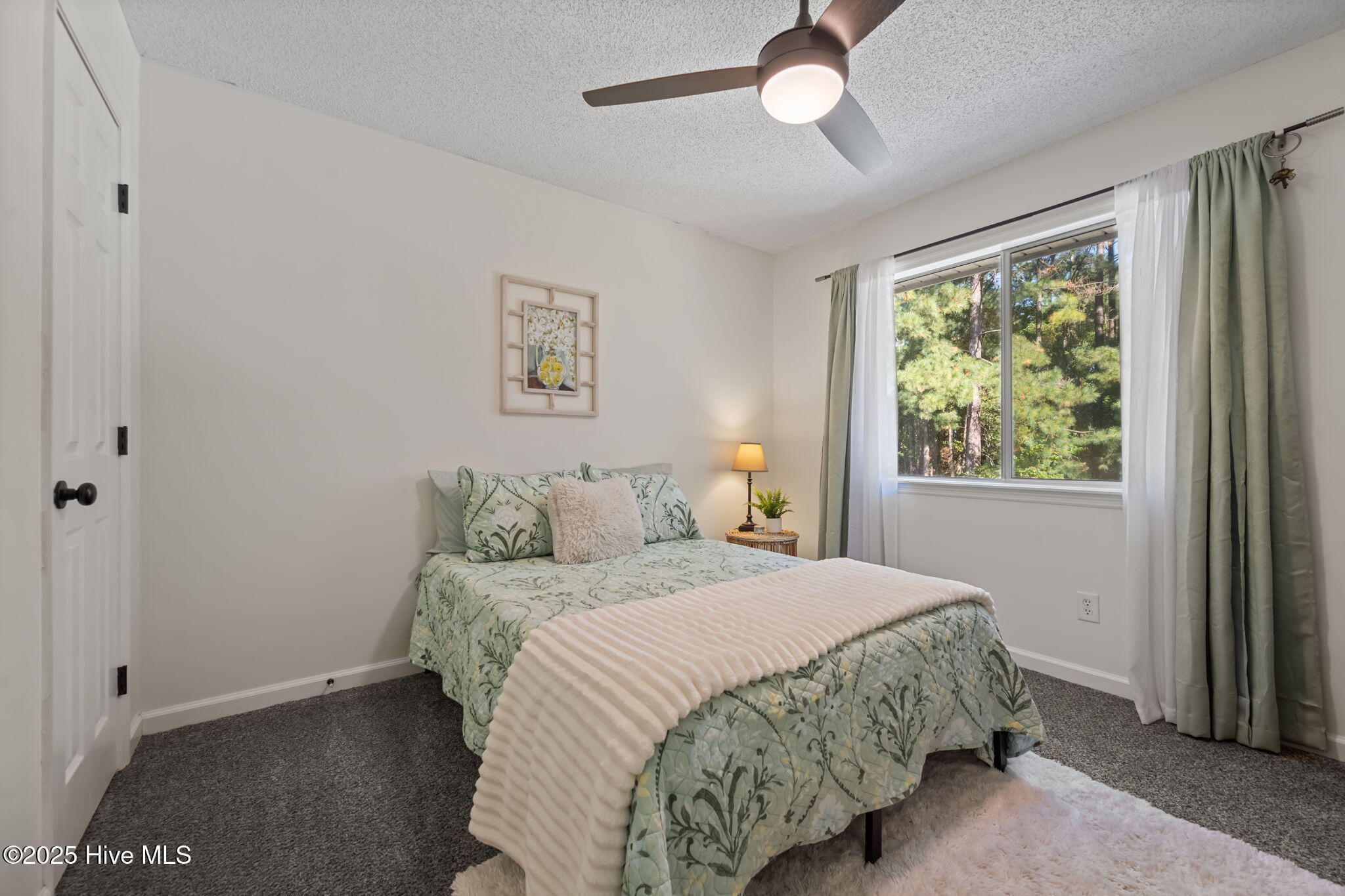 100539001 | Photo 28