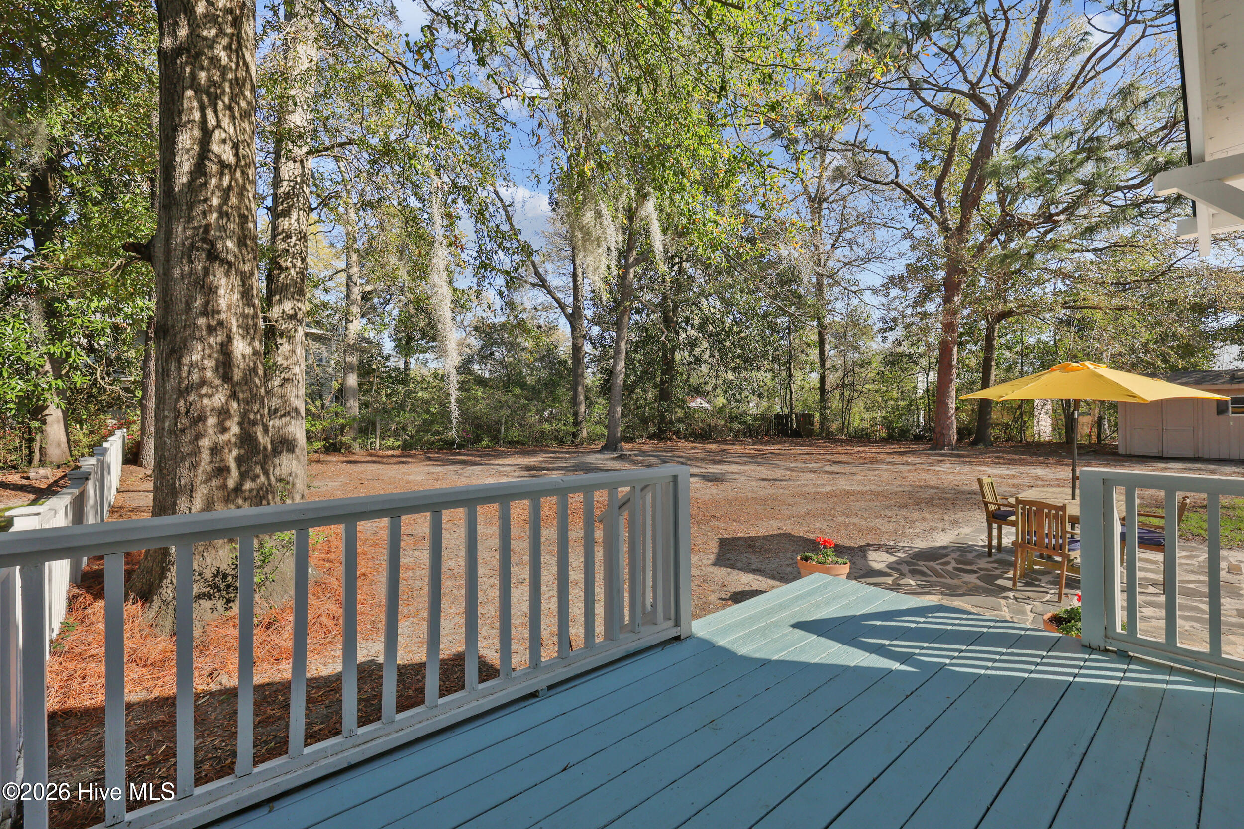 100562398 | Photo 33