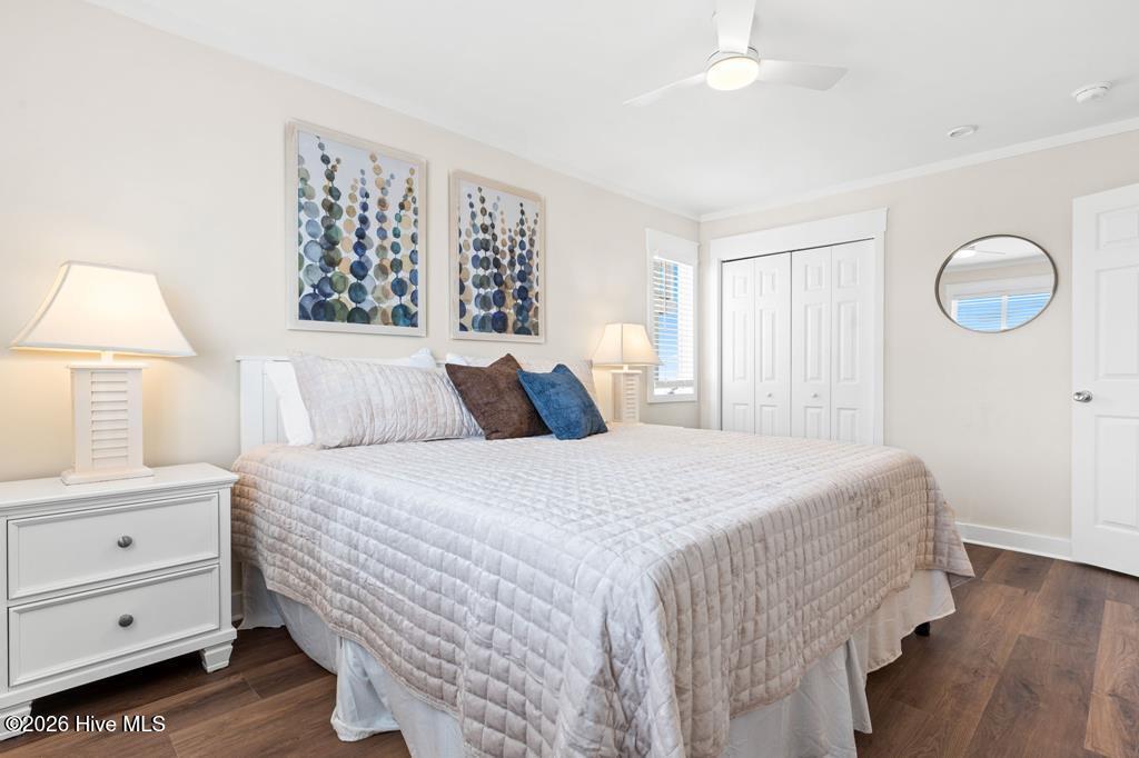 100556593 | Photo 55