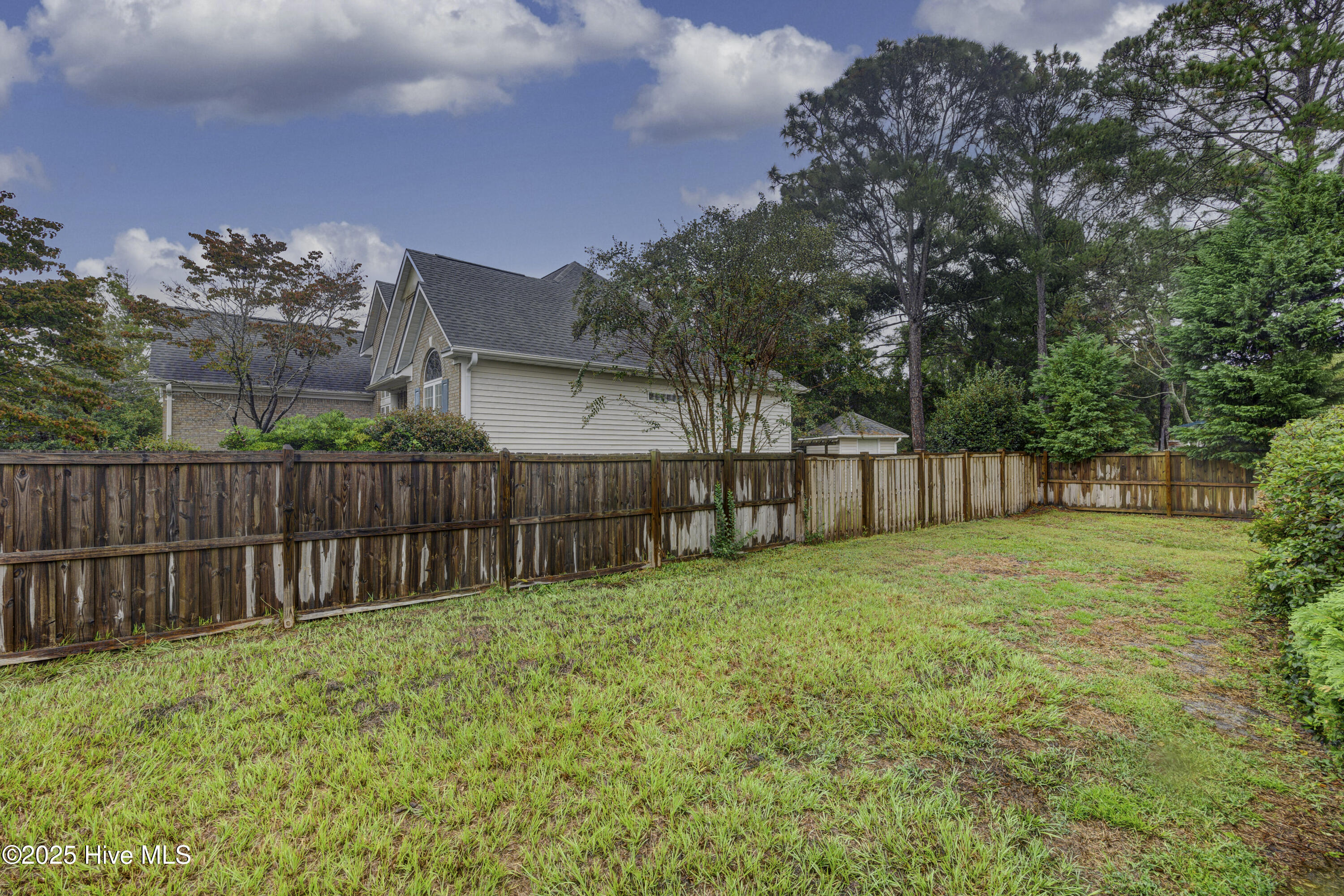 100534383 | Photo 31