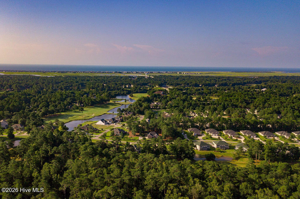 100562919 | Photo 103