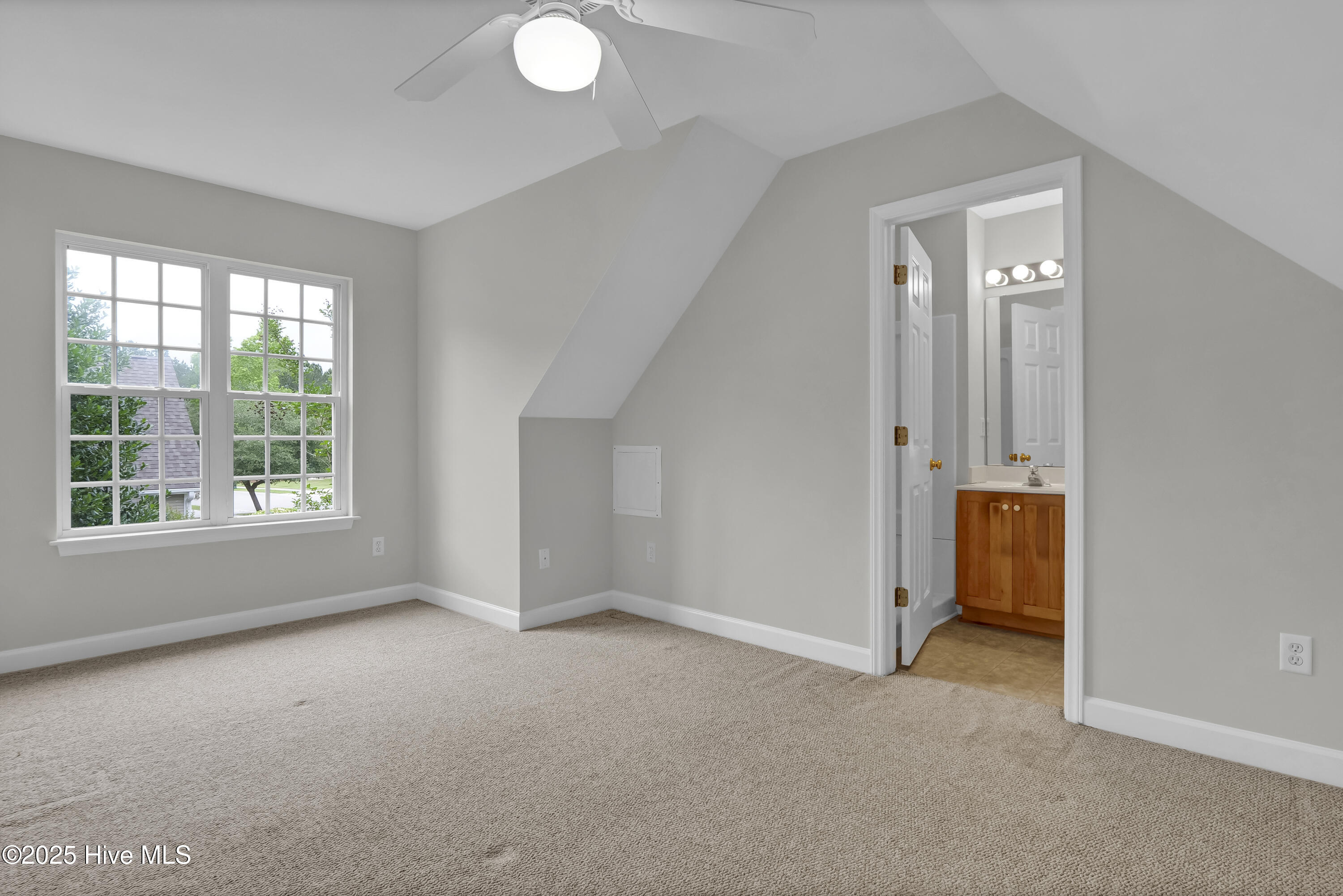 100510157 | Photo 10