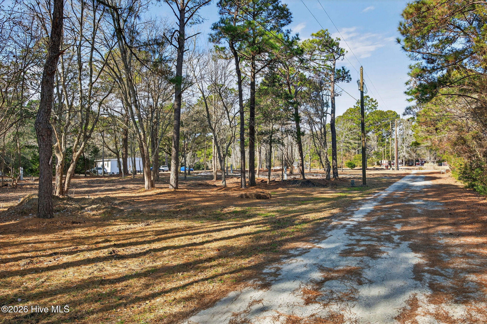 100552398 | Photo 27