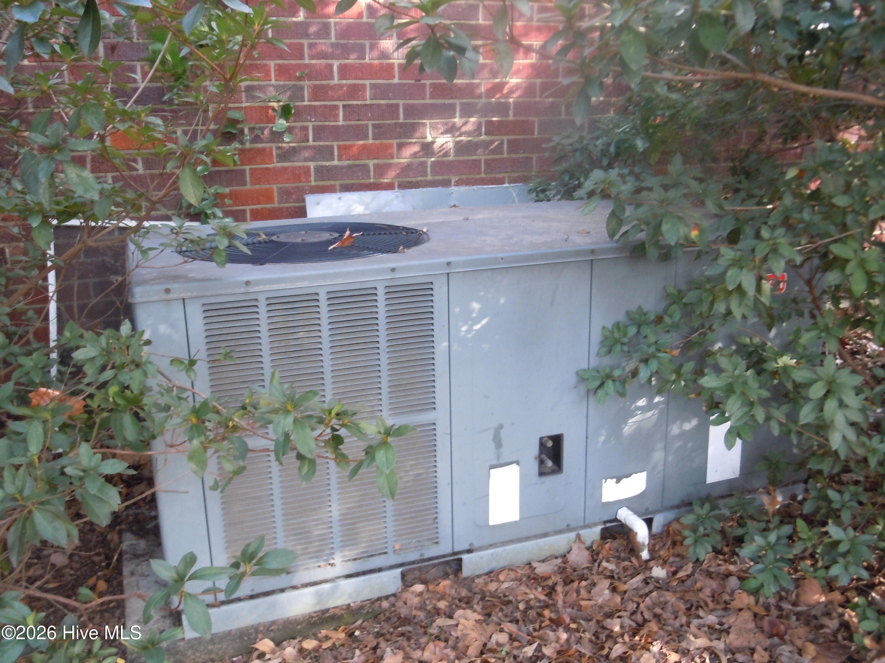 100553608 | Photo 37