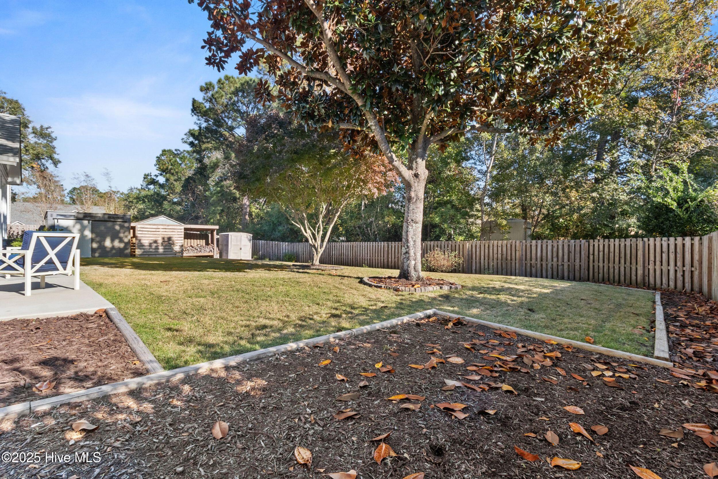 100541040 | Photo 38