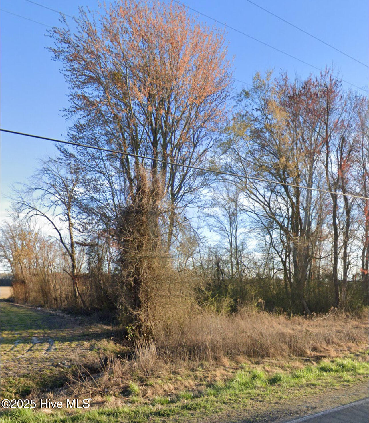 Homes for sale in Elizabeth City, NC | 1464 Millpond Rd, Elizabeth City, NC 27909 | MLS# 100540519