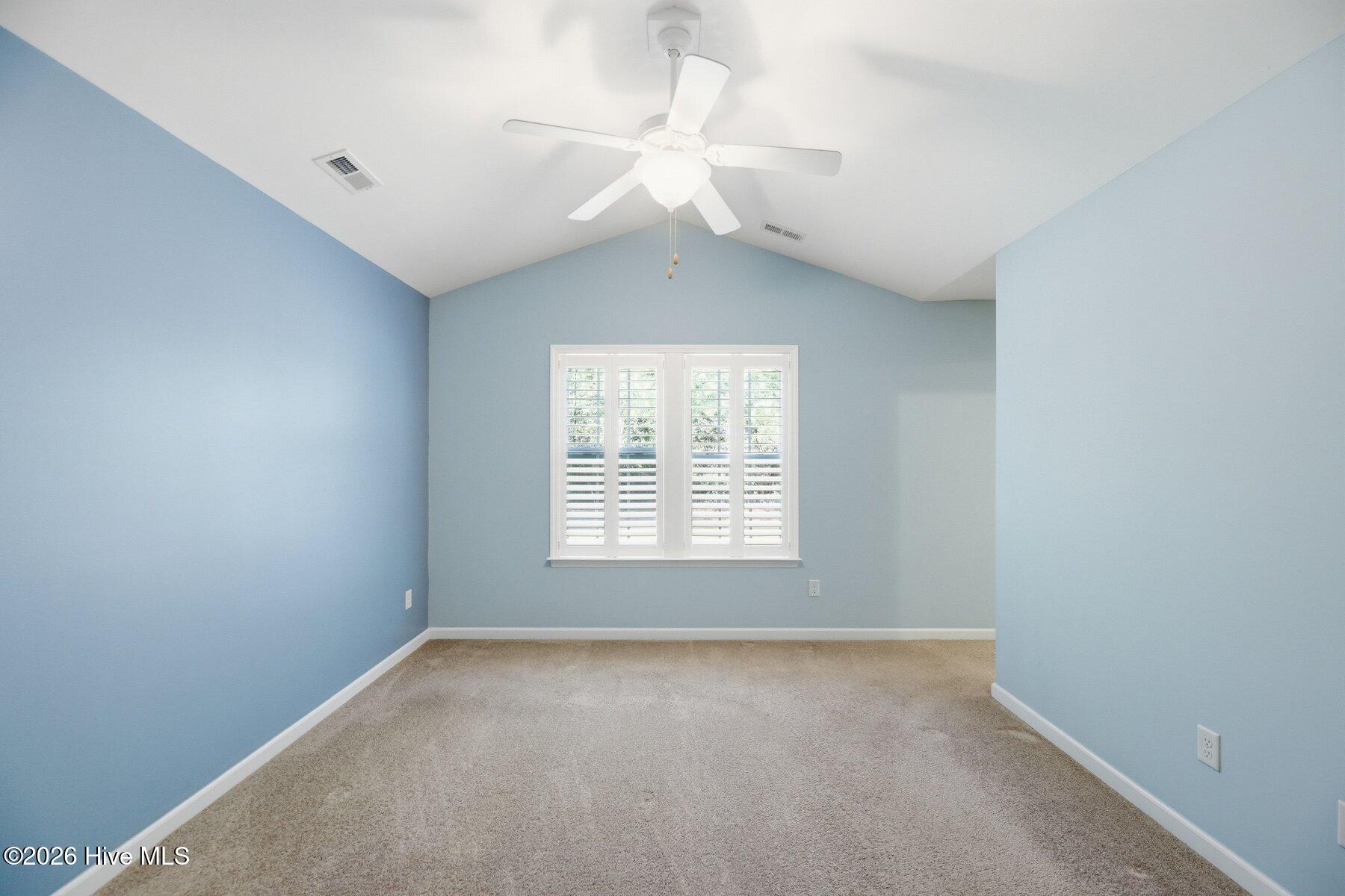 100563197 | Photo 13