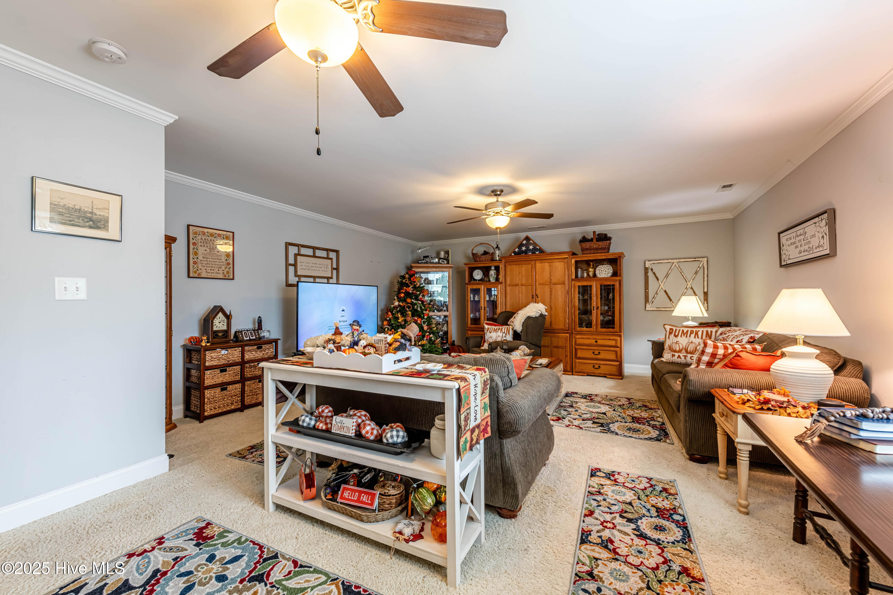 100524839 | Photo 59