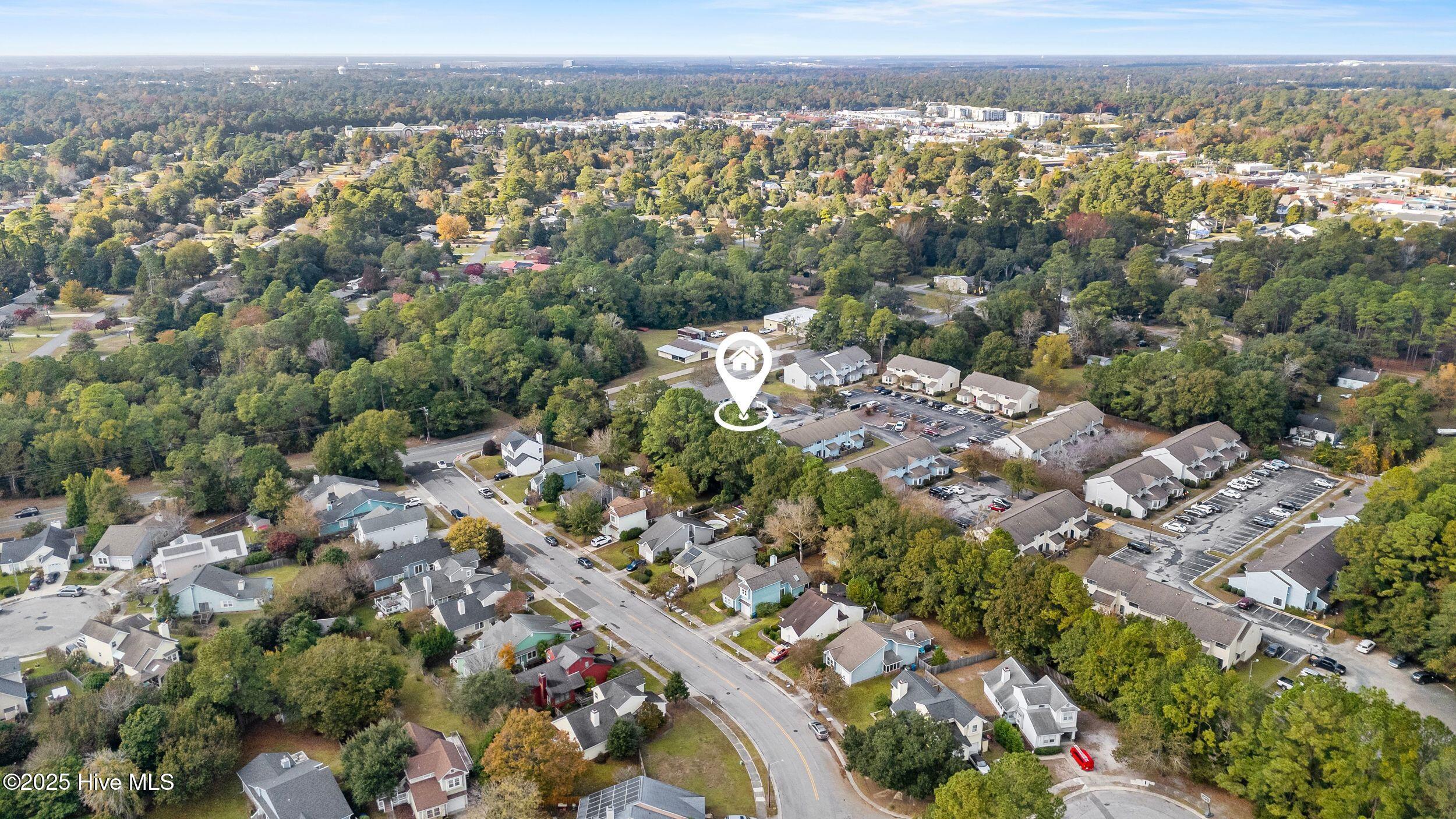 100540699 | Photo 42